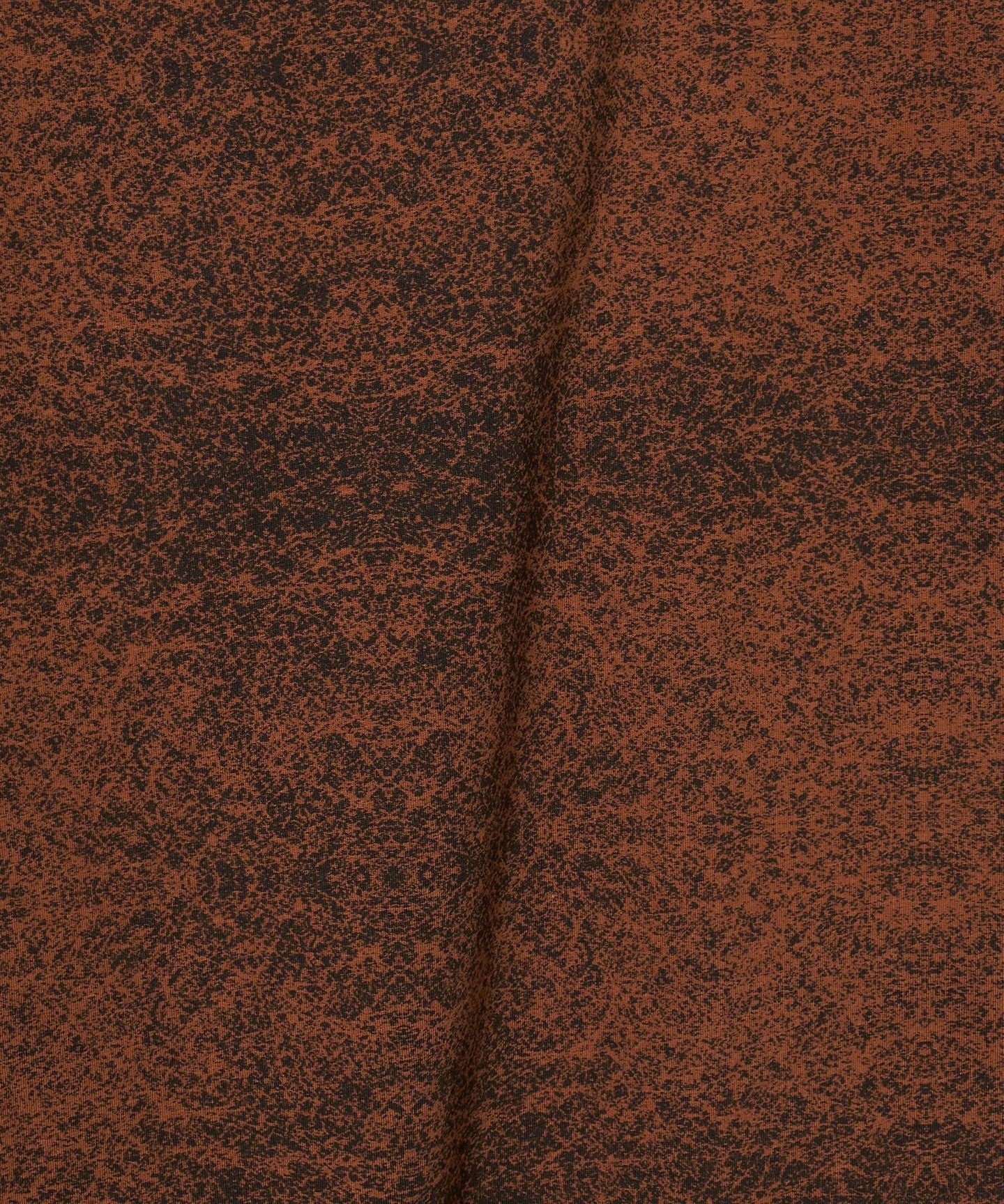 12575000002-d10.jpg