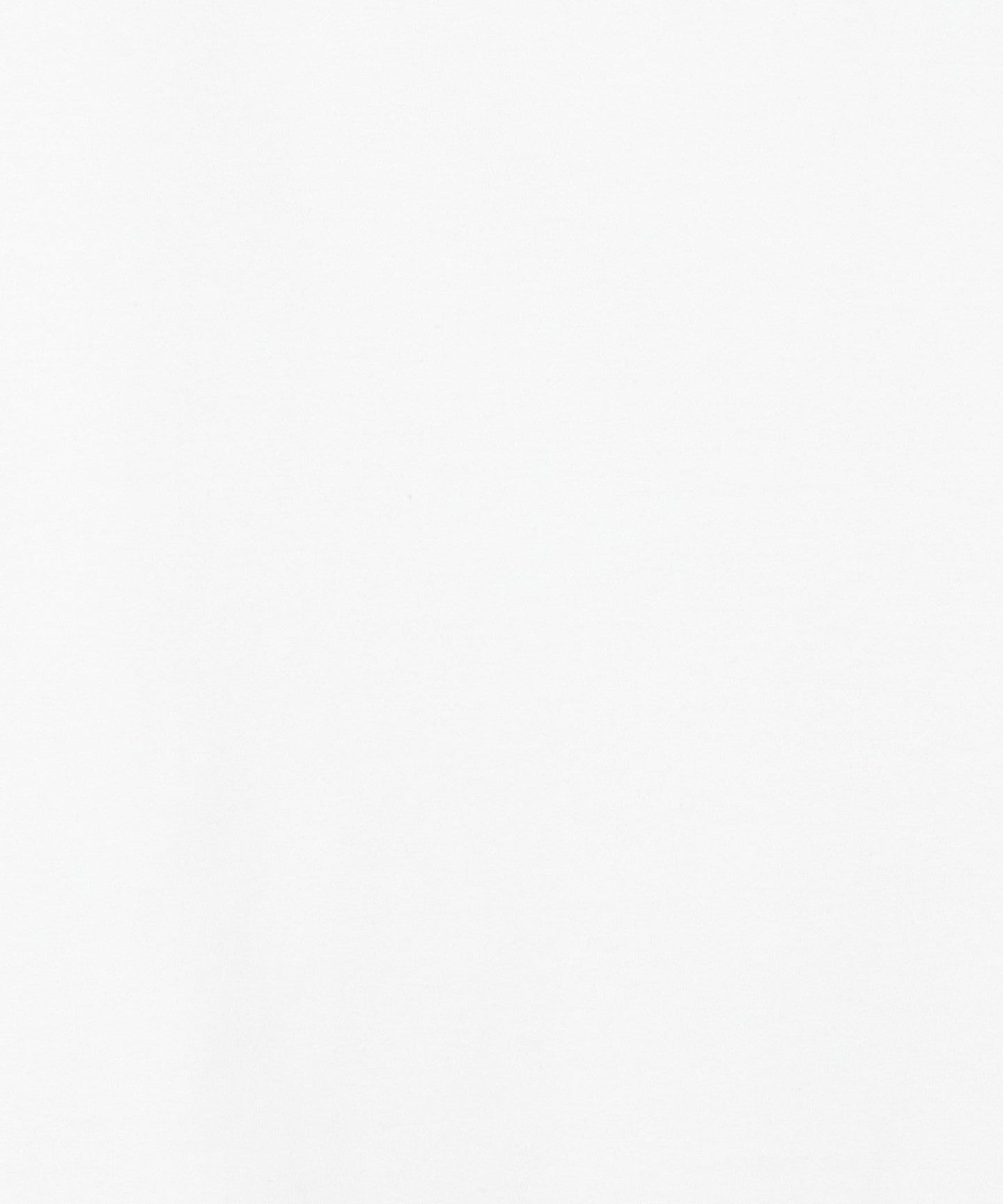 16172000000-d13.jpg