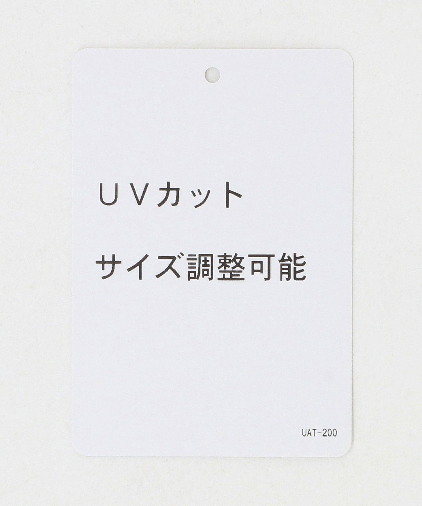 17386000021-d21.jpg