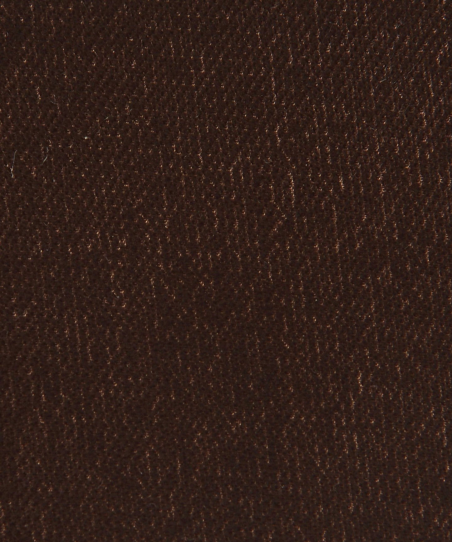 18326000023-d20.jpg
