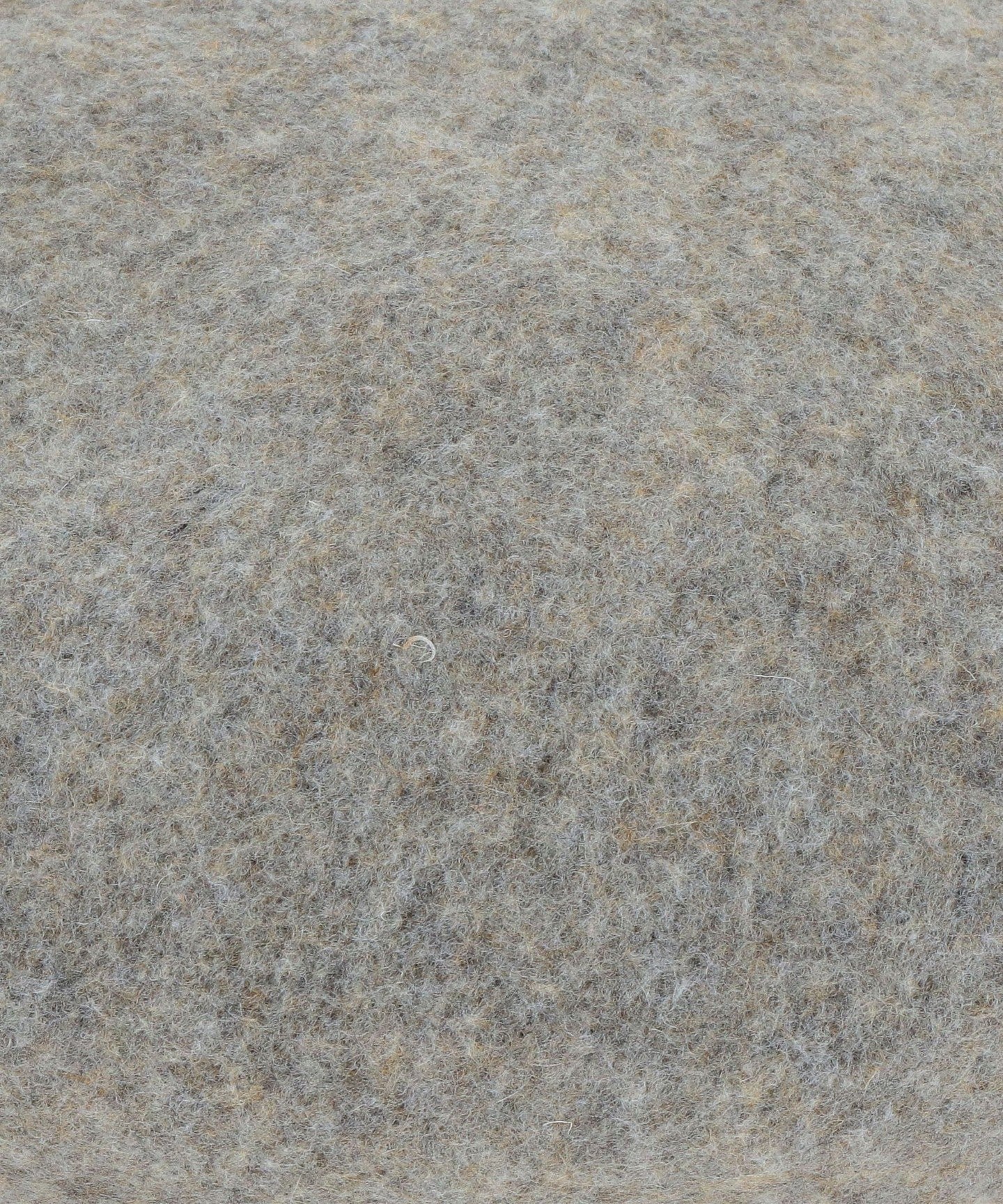 18386000006-d14.jpg