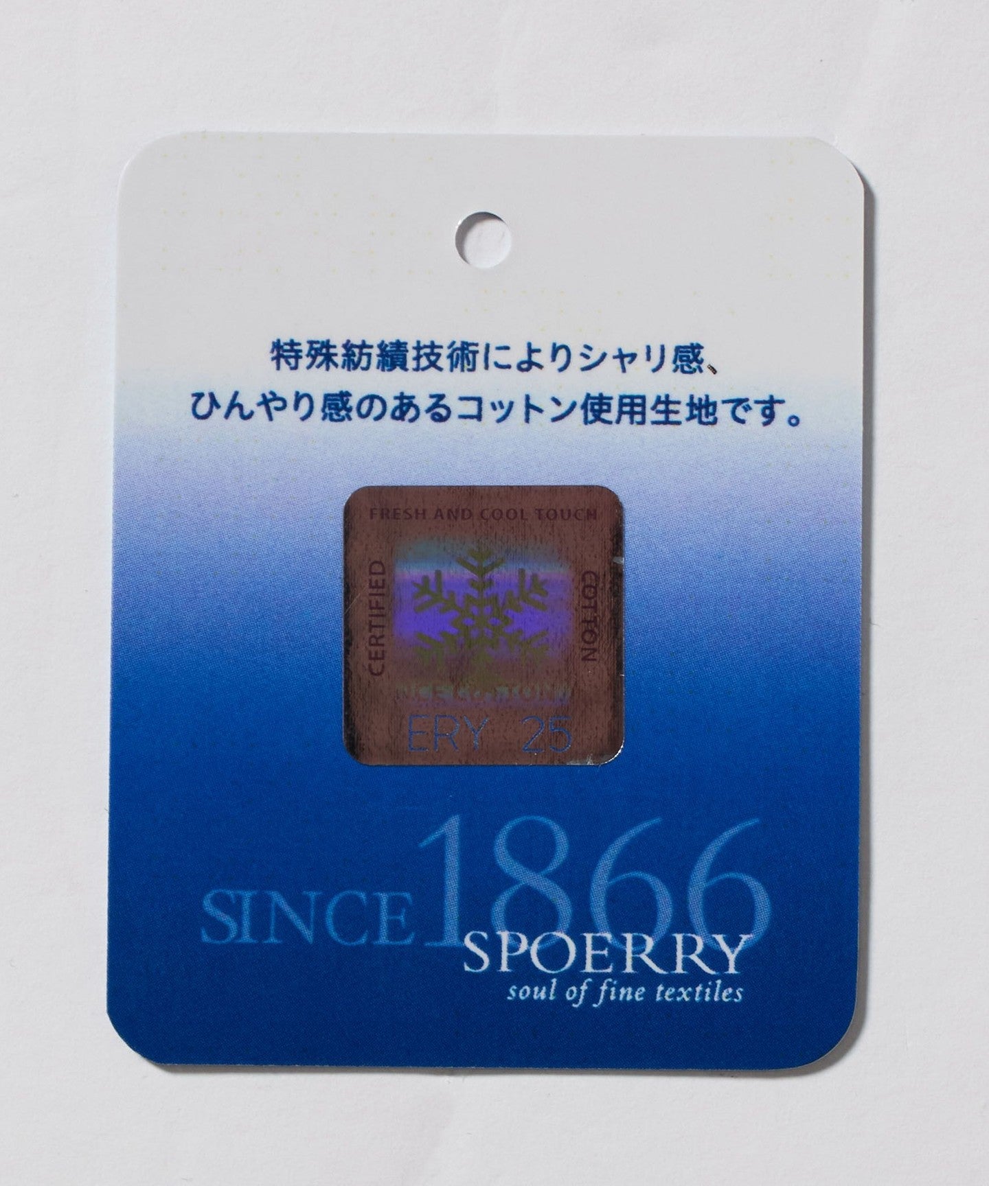 31171080246-d17.jpg