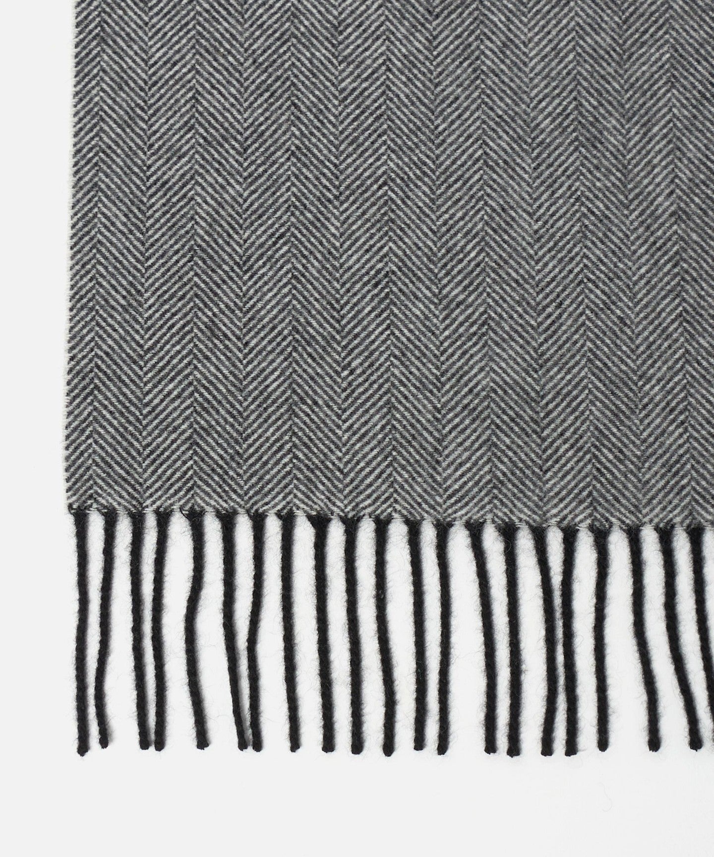 31366000002-d04.jpg