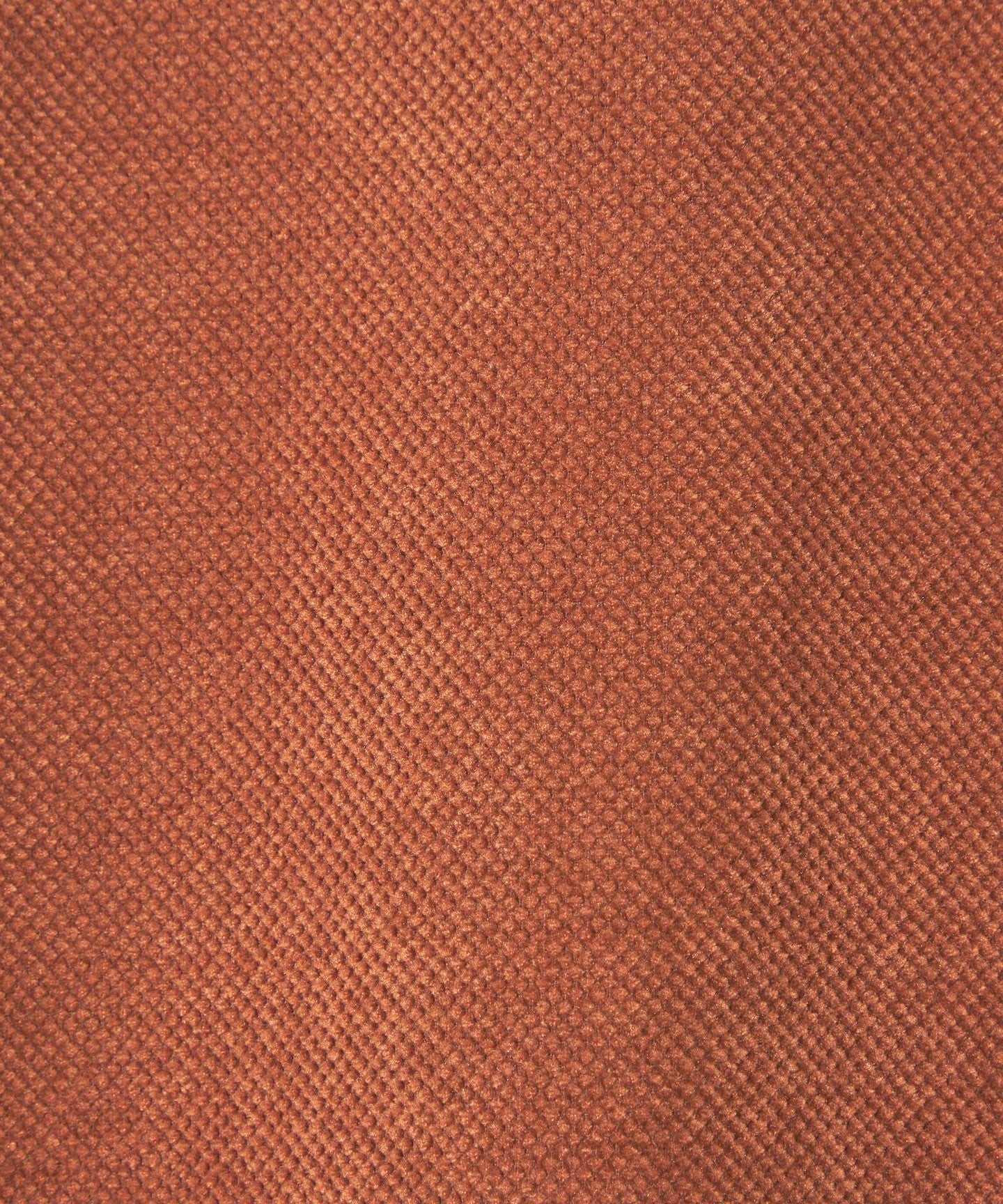 32121000021-d15.jpg
