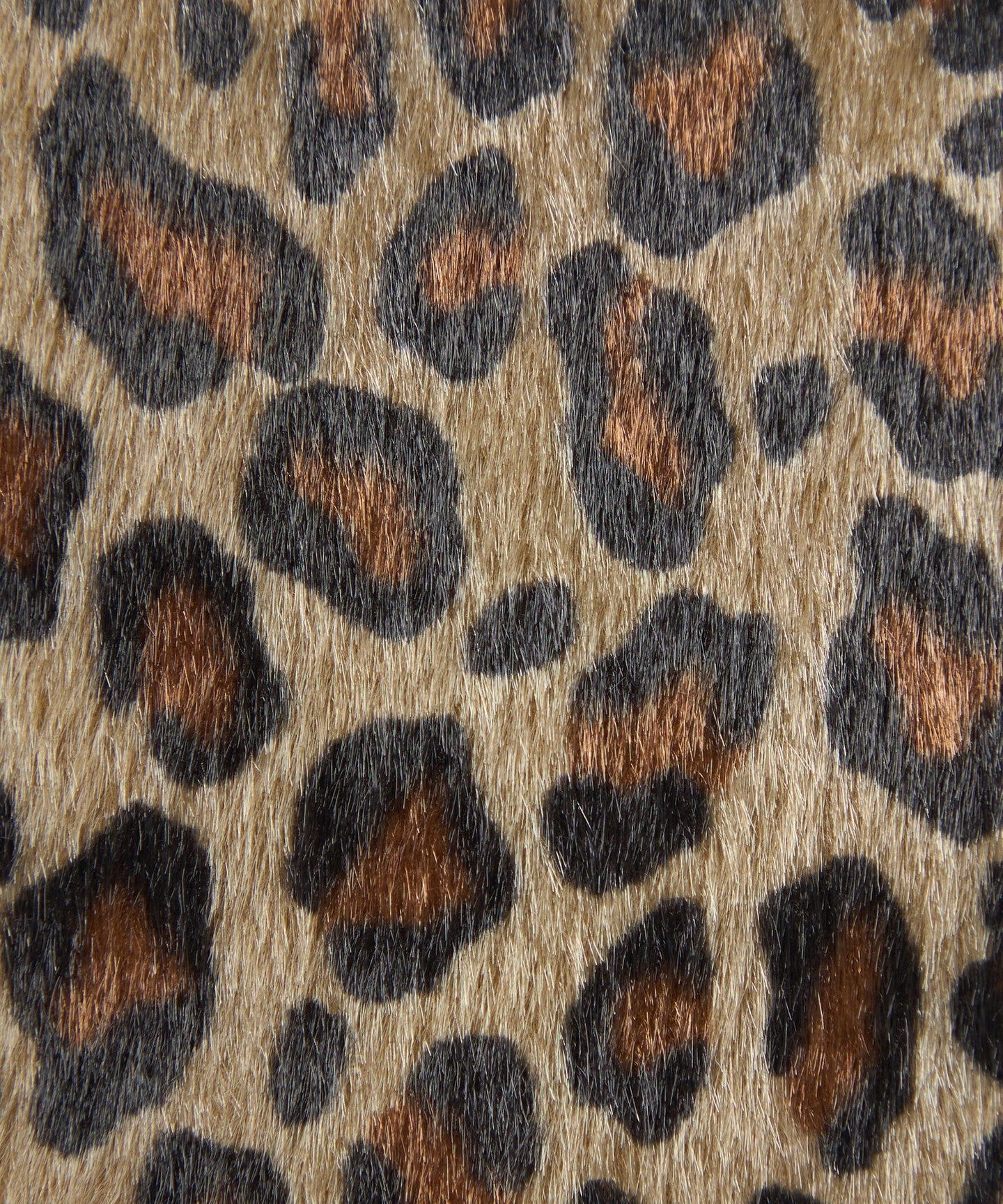 36321000000-d14.jpg