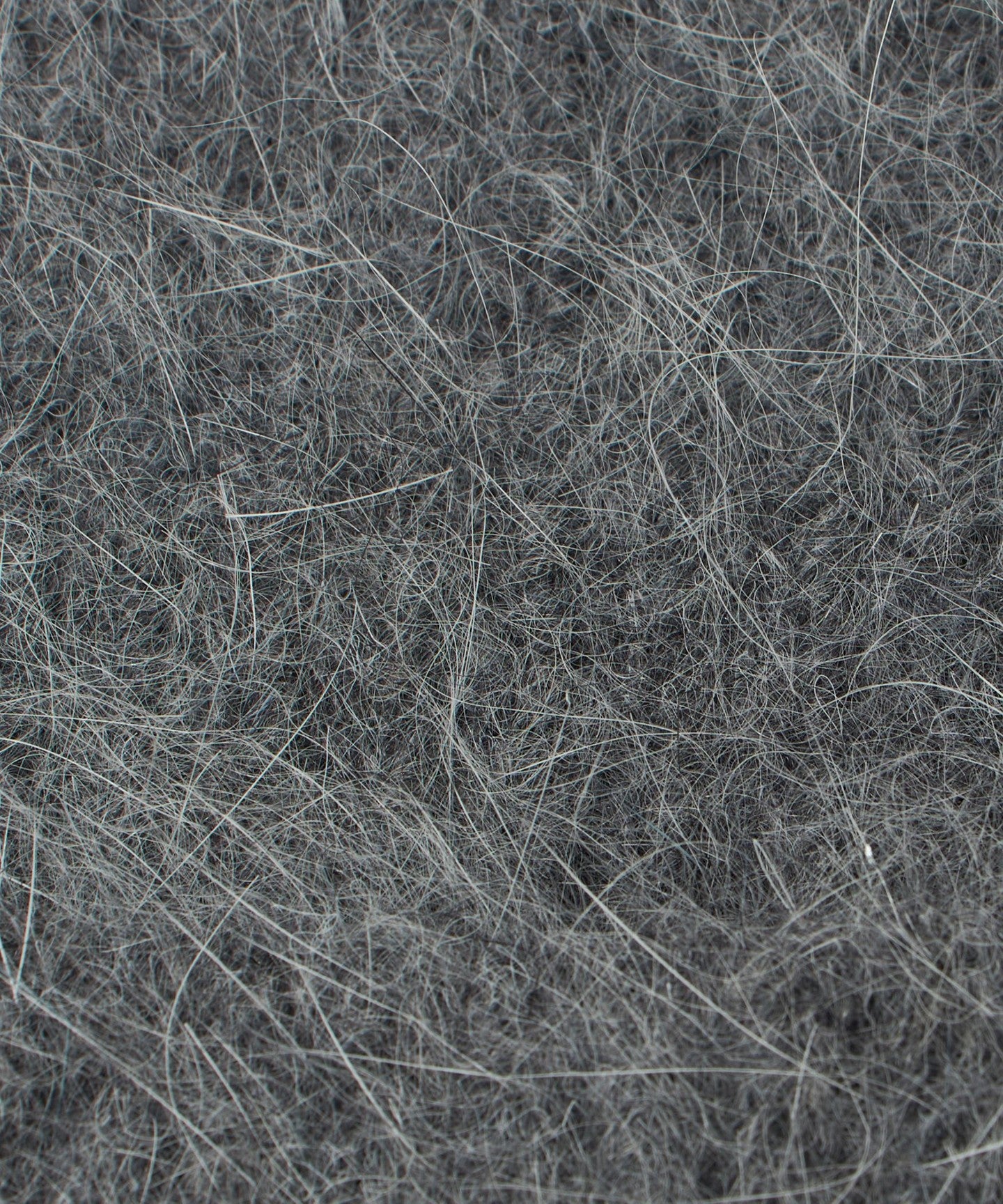 36386000010-d16.jpg
