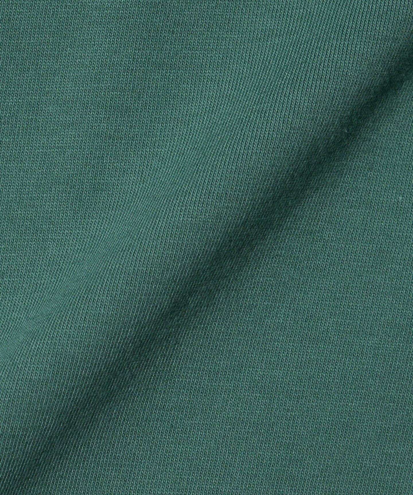 42171000007-d18.jpg