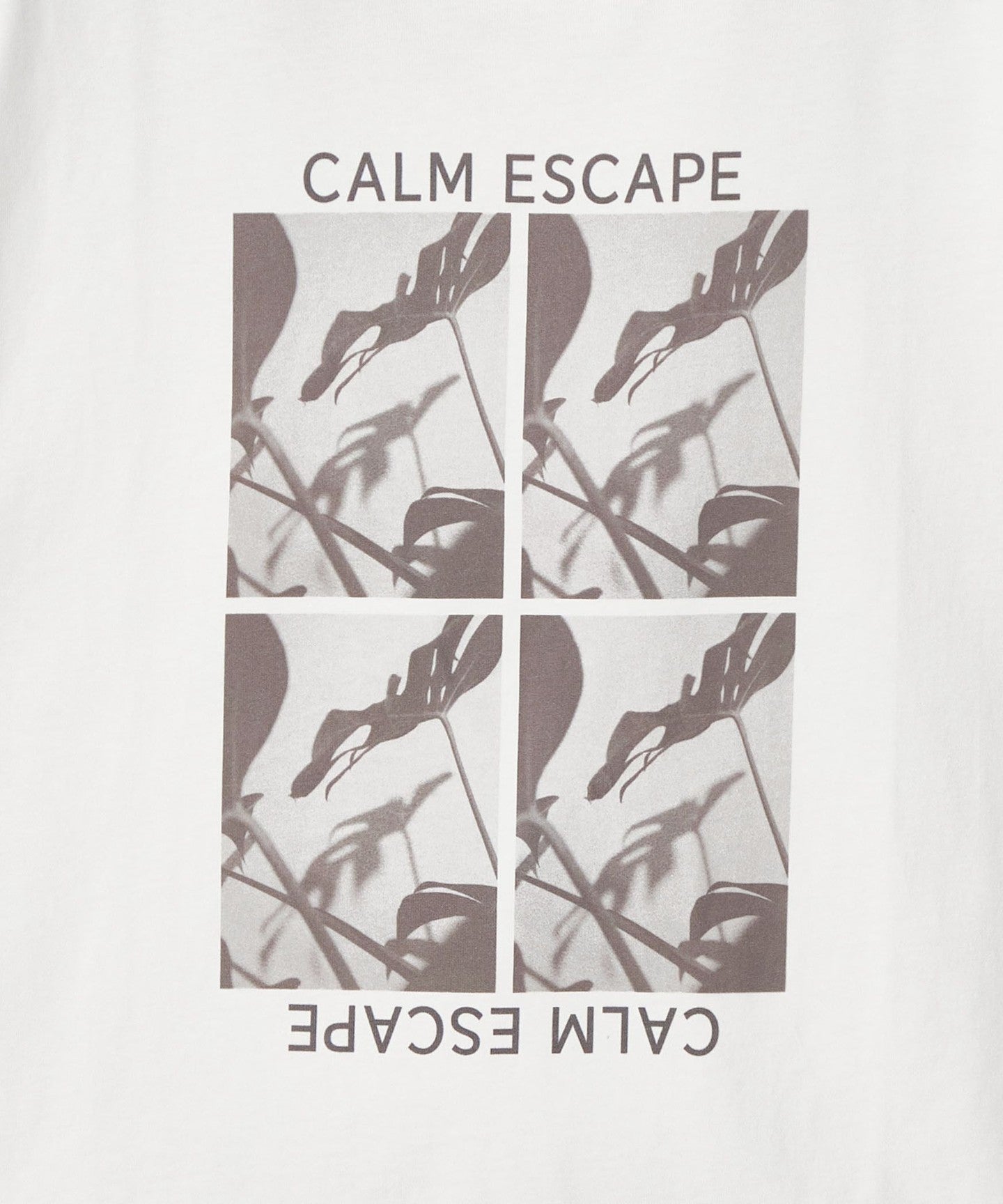 42176000014-d21.jpg