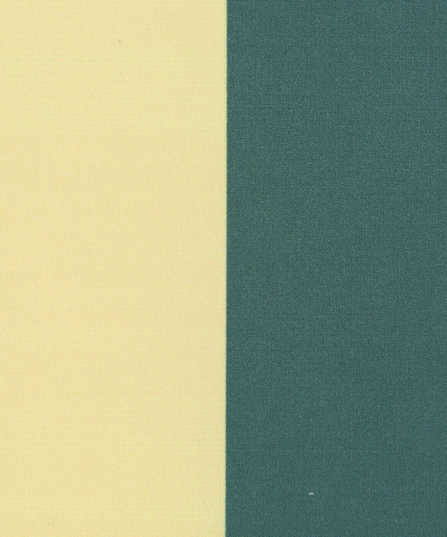 42326000077-d15.jpg
