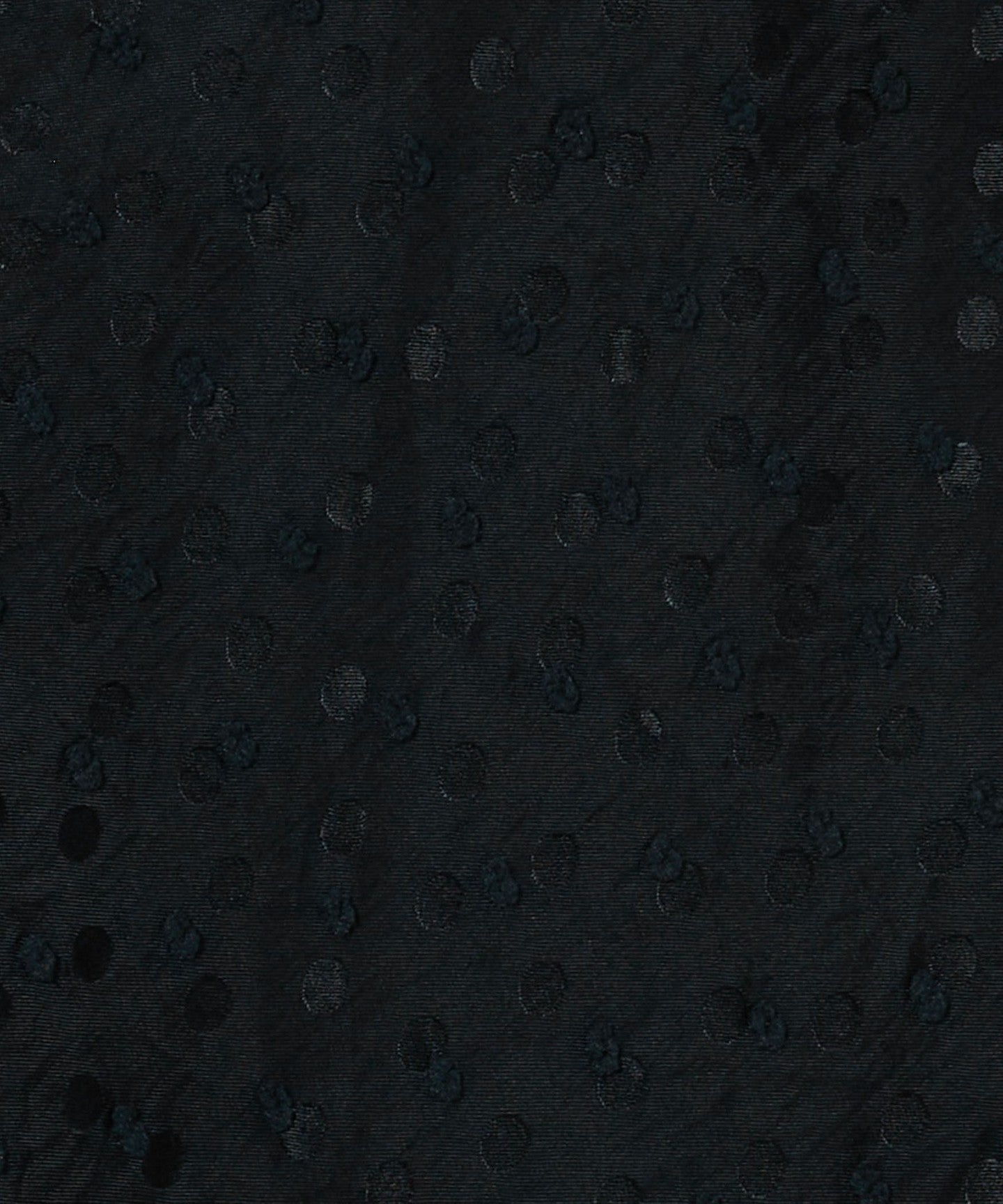 56241620387-d08.jpg