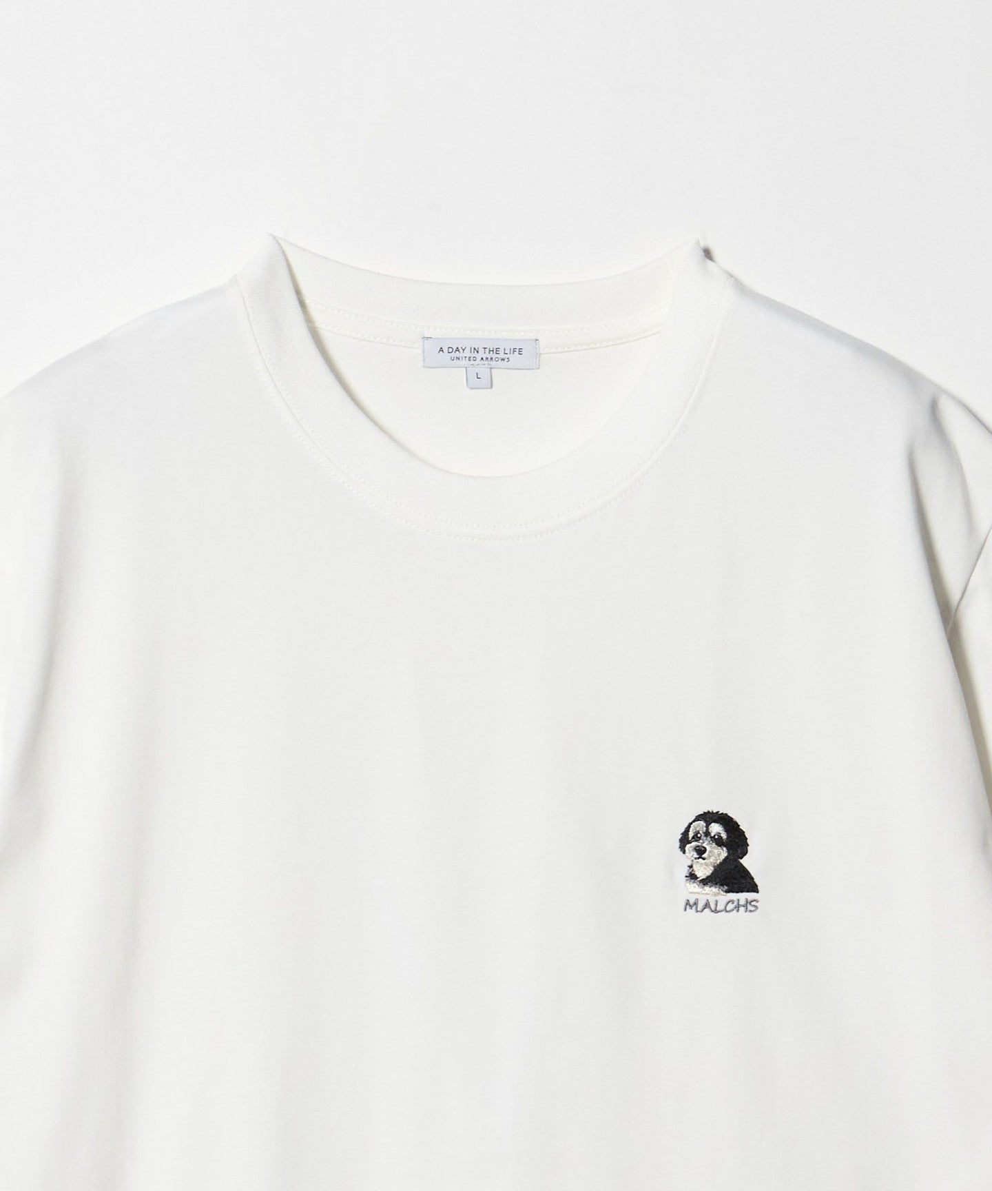 62176000040-d08.jpg