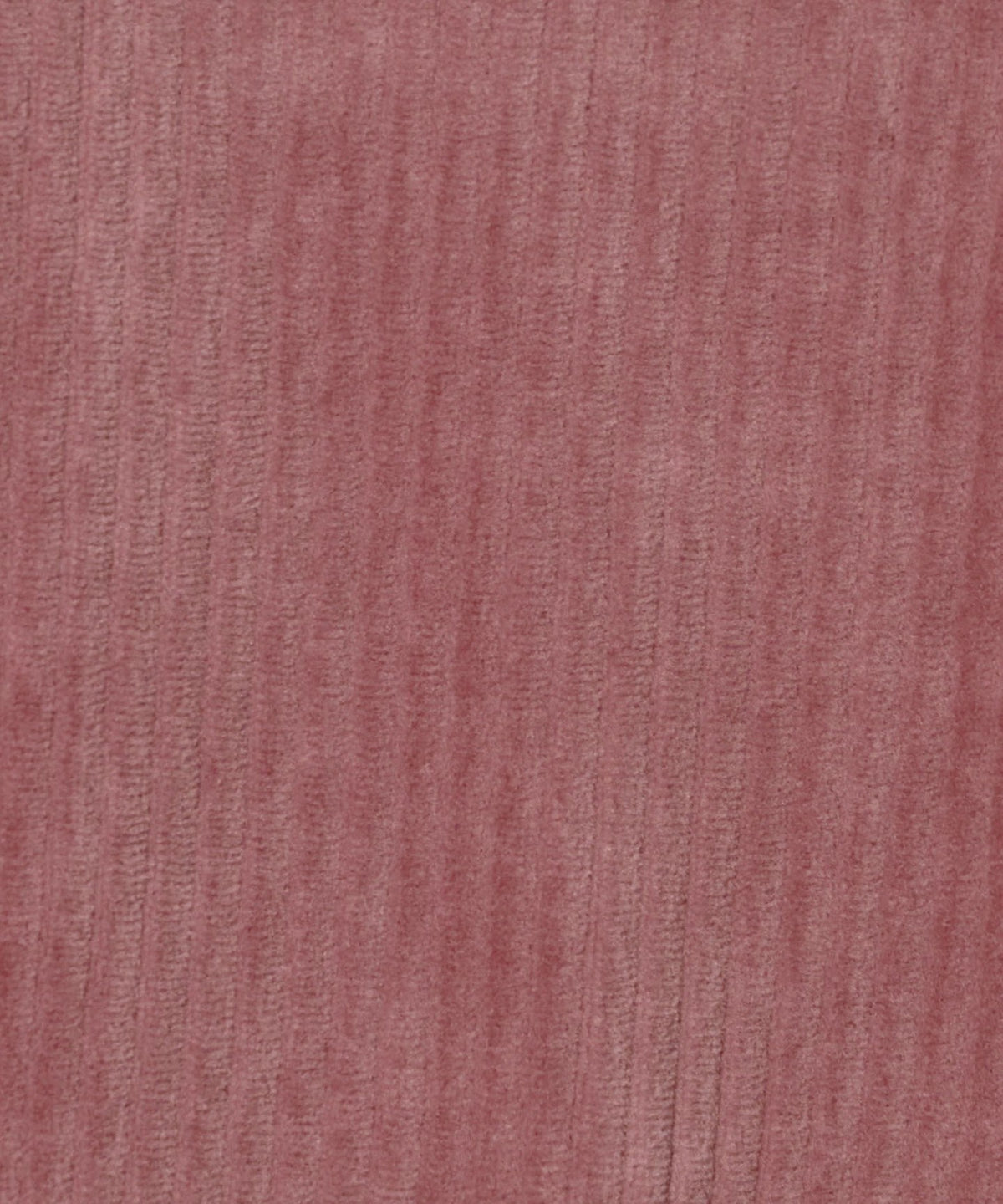 64146990325-d38.jpg