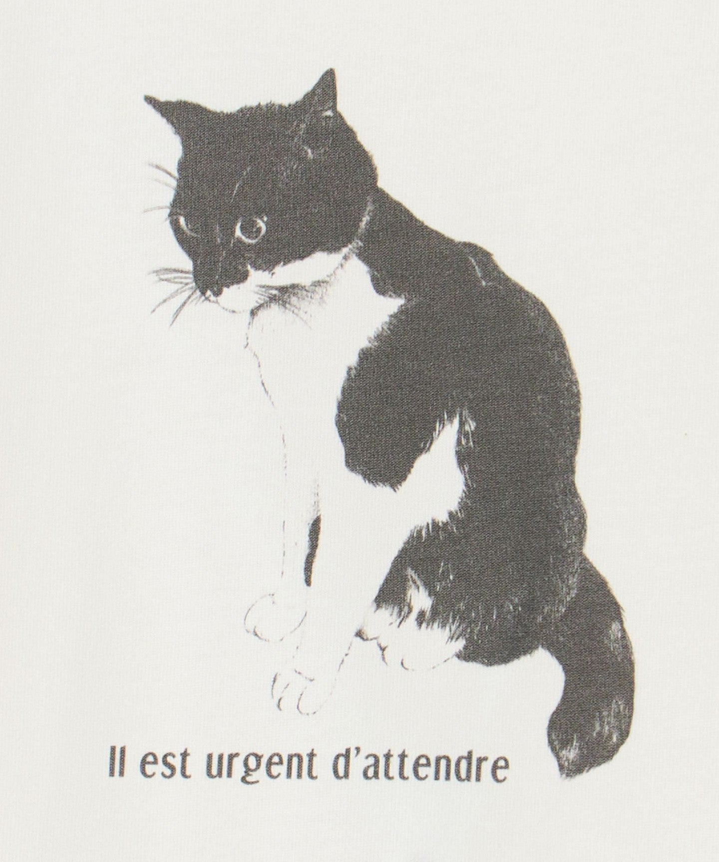 64176000047-d13.jpg