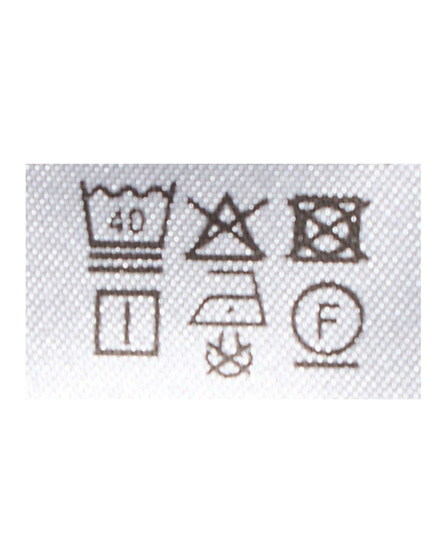64226000003-d24.jpg