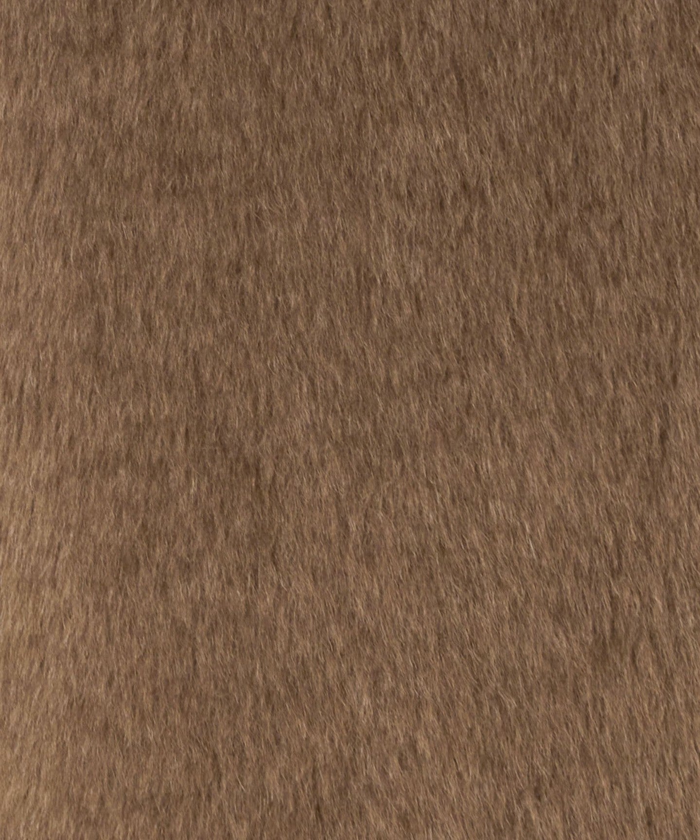65242000011-d14.jpg