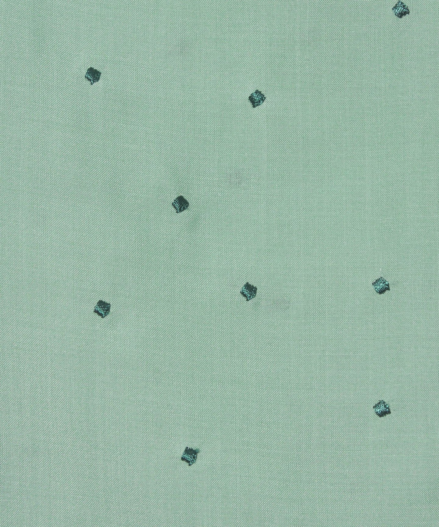 66166000009-d10.jpg