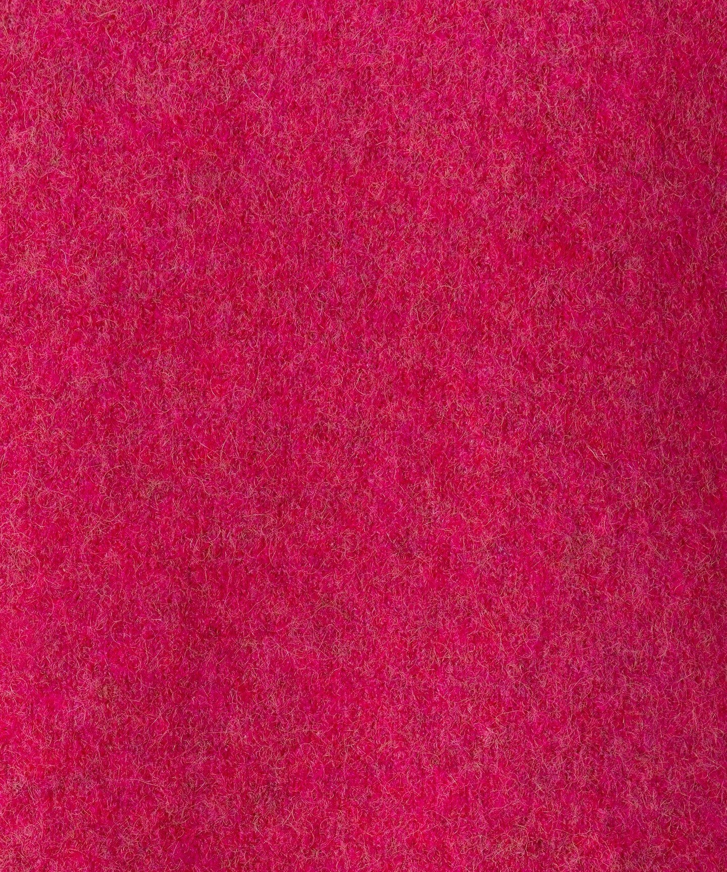79131060312-d06.jpg
