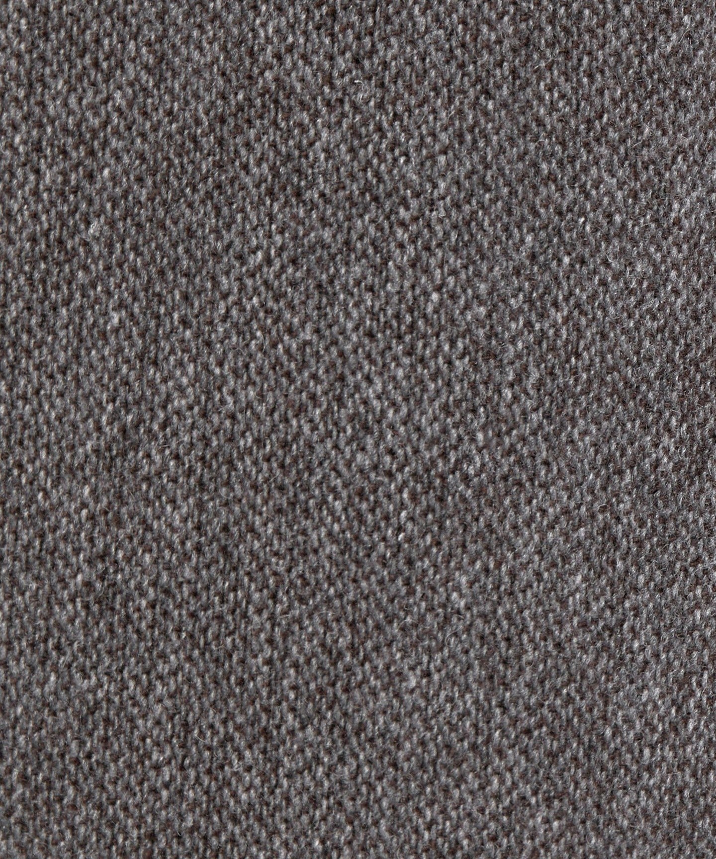 81141000000-d38.jpg