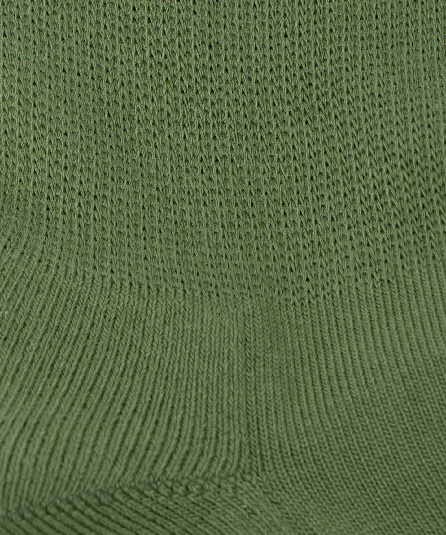 81356000000-d06.jpg