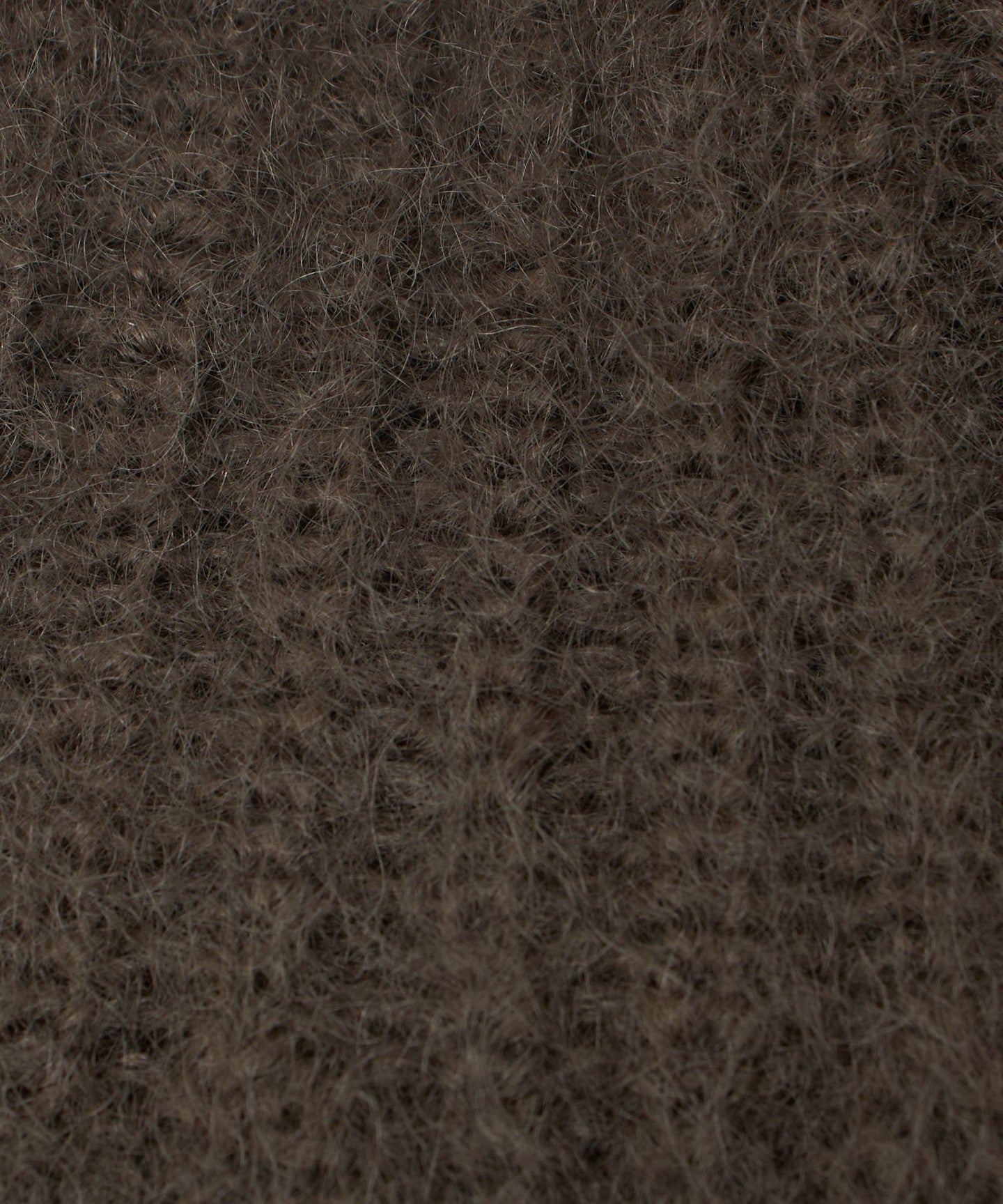 82386000002-d06.jpg