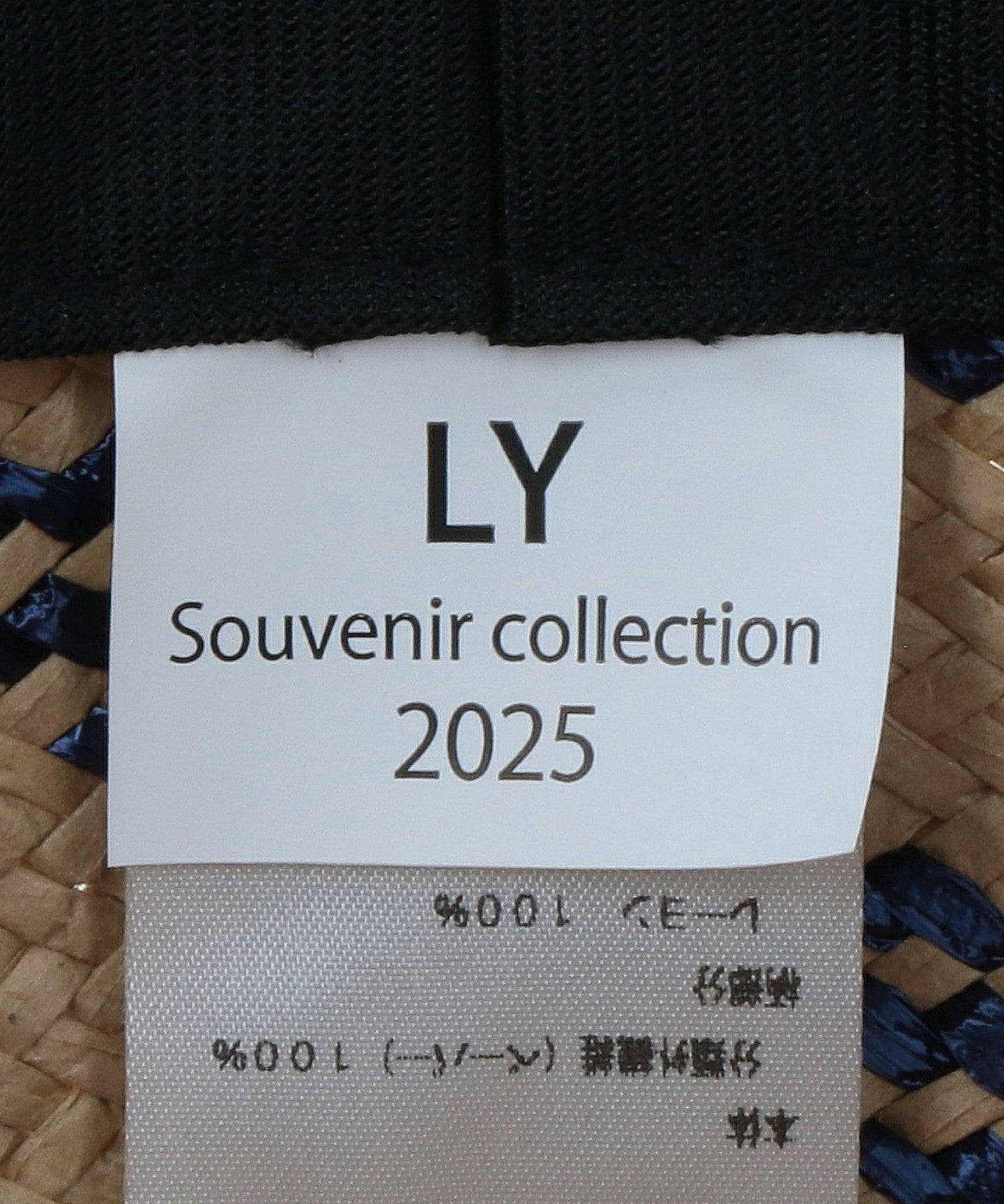86385000003-d11.jpg