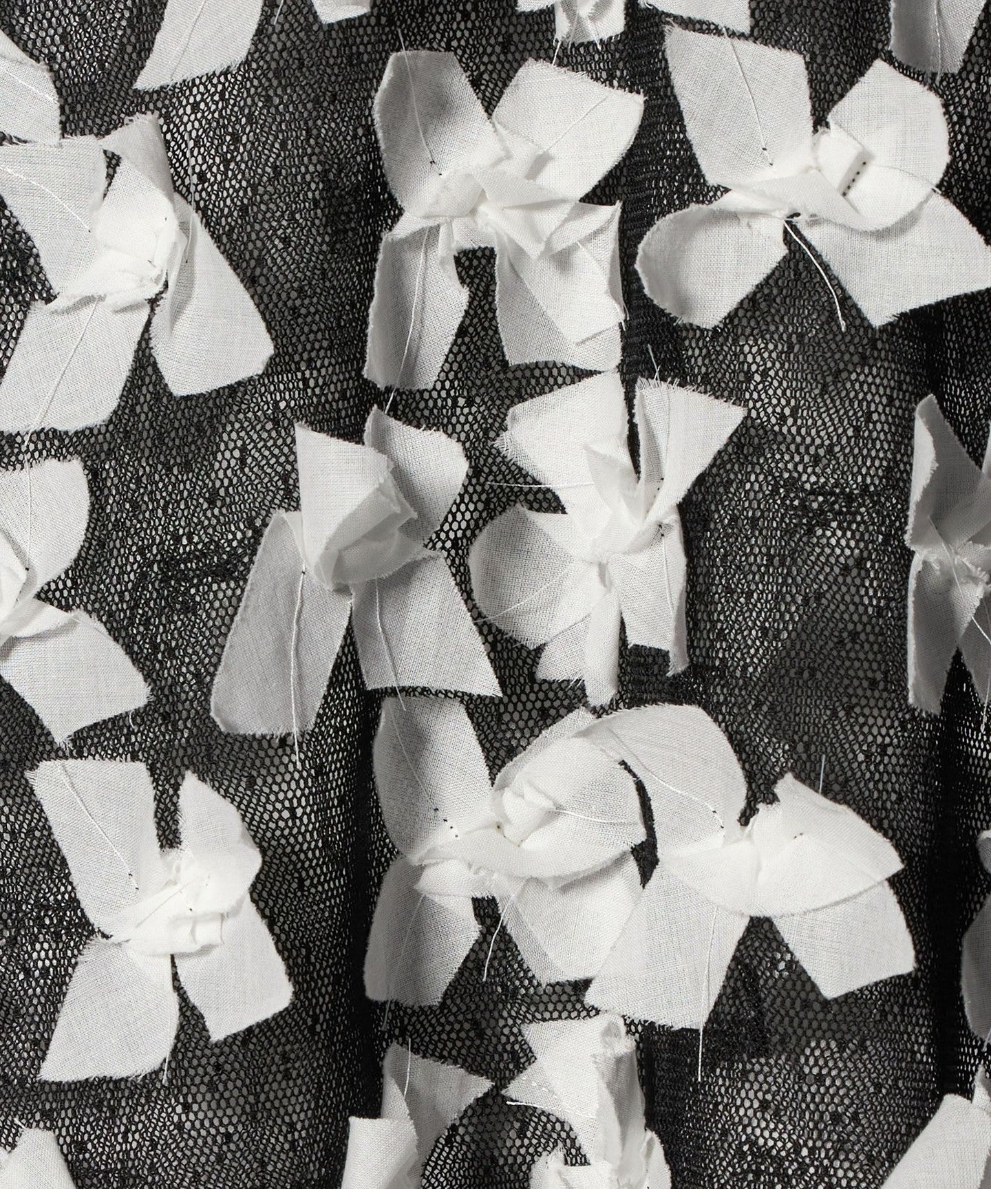87161830002-d18.jpg
