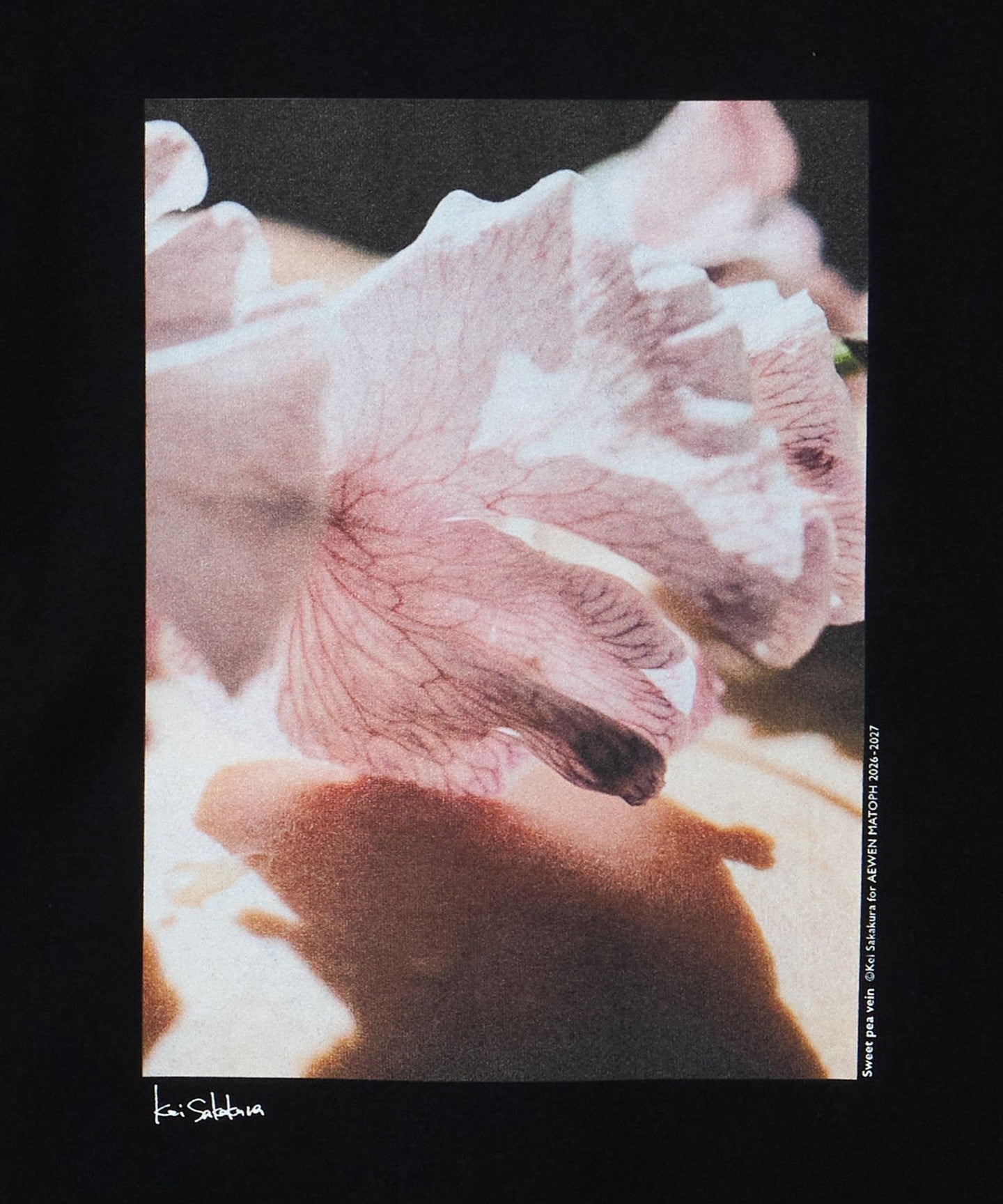 87172000009-d21.jpg