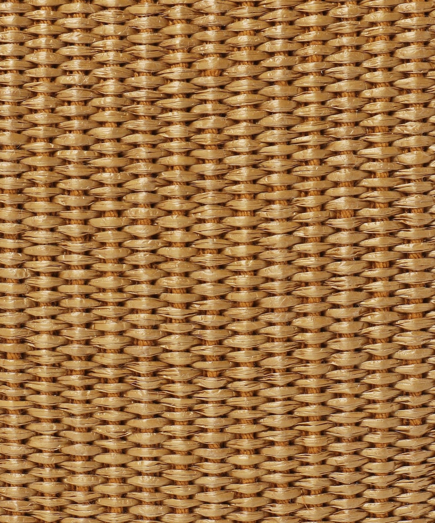 14323436243-d11.jpg