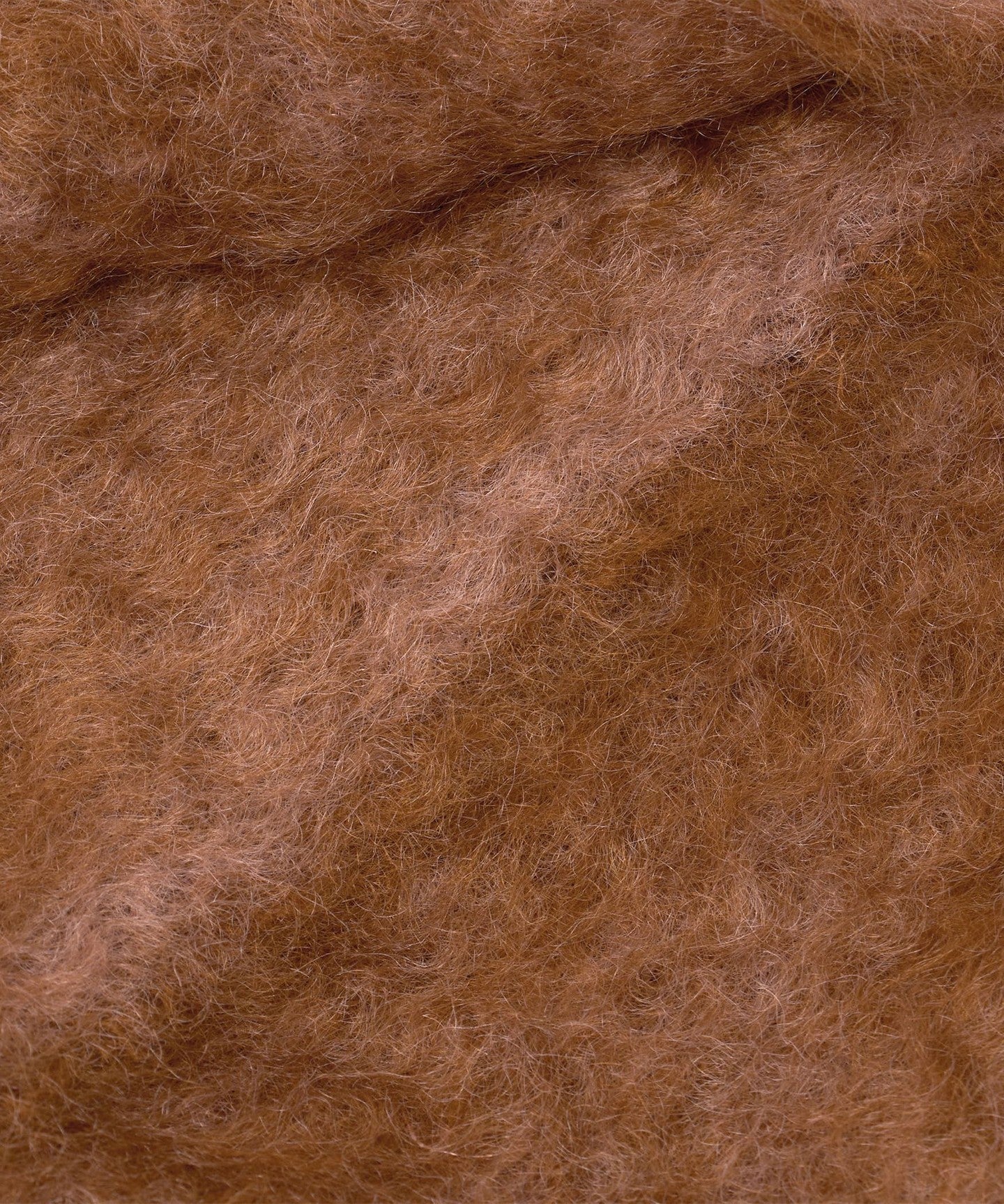 16496000000-d04.jpg