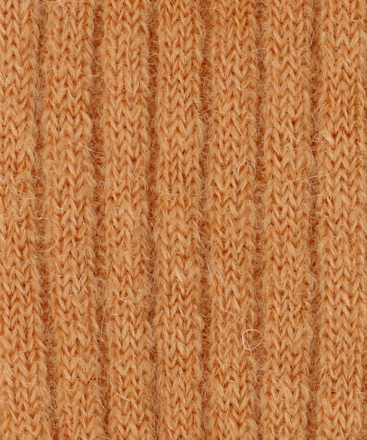 18356000000-d01.jpg