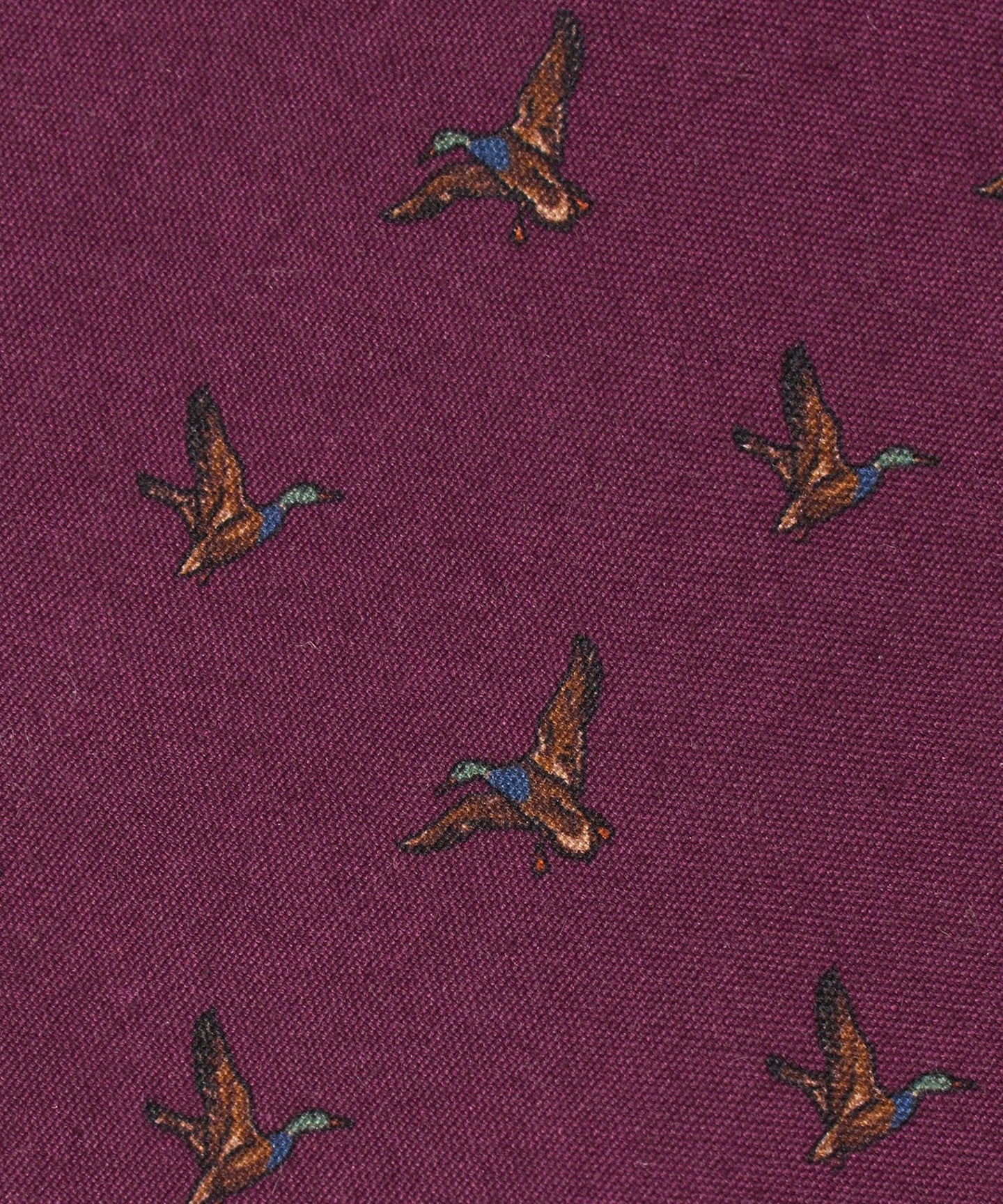 31346000023-d03.jpg