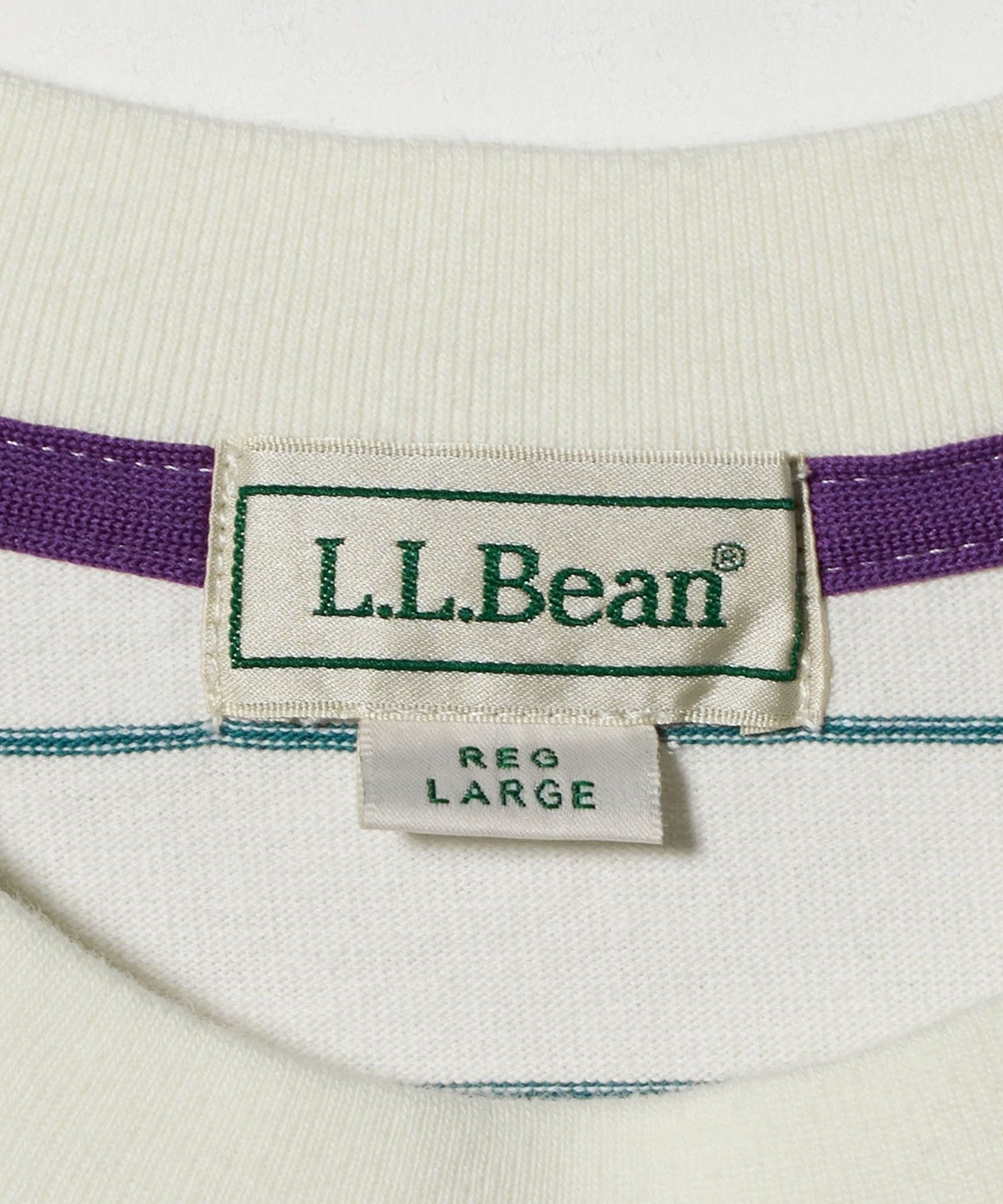 32174000040-d13.jpg