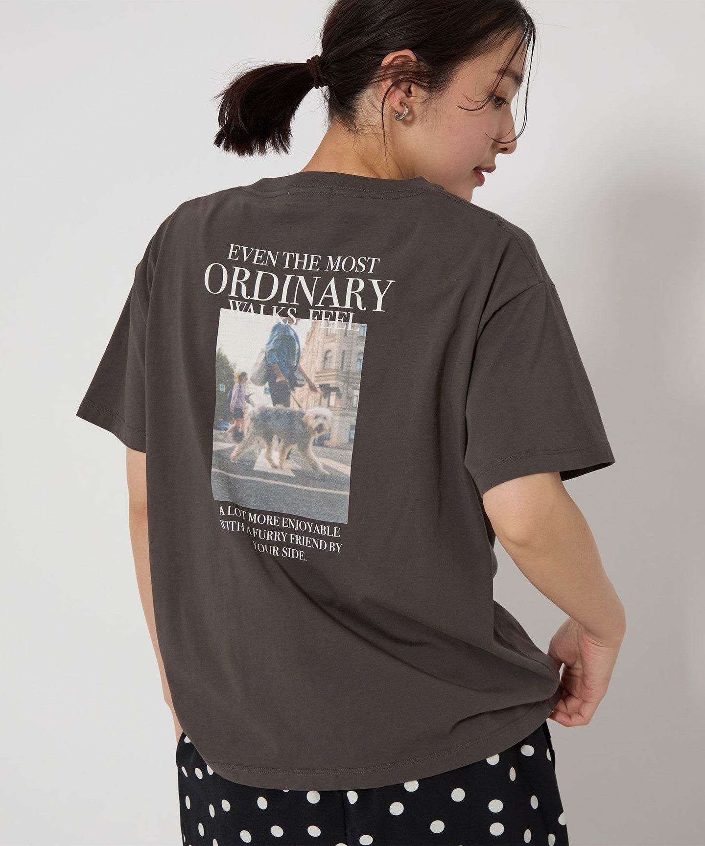 36176993272-19.jpg