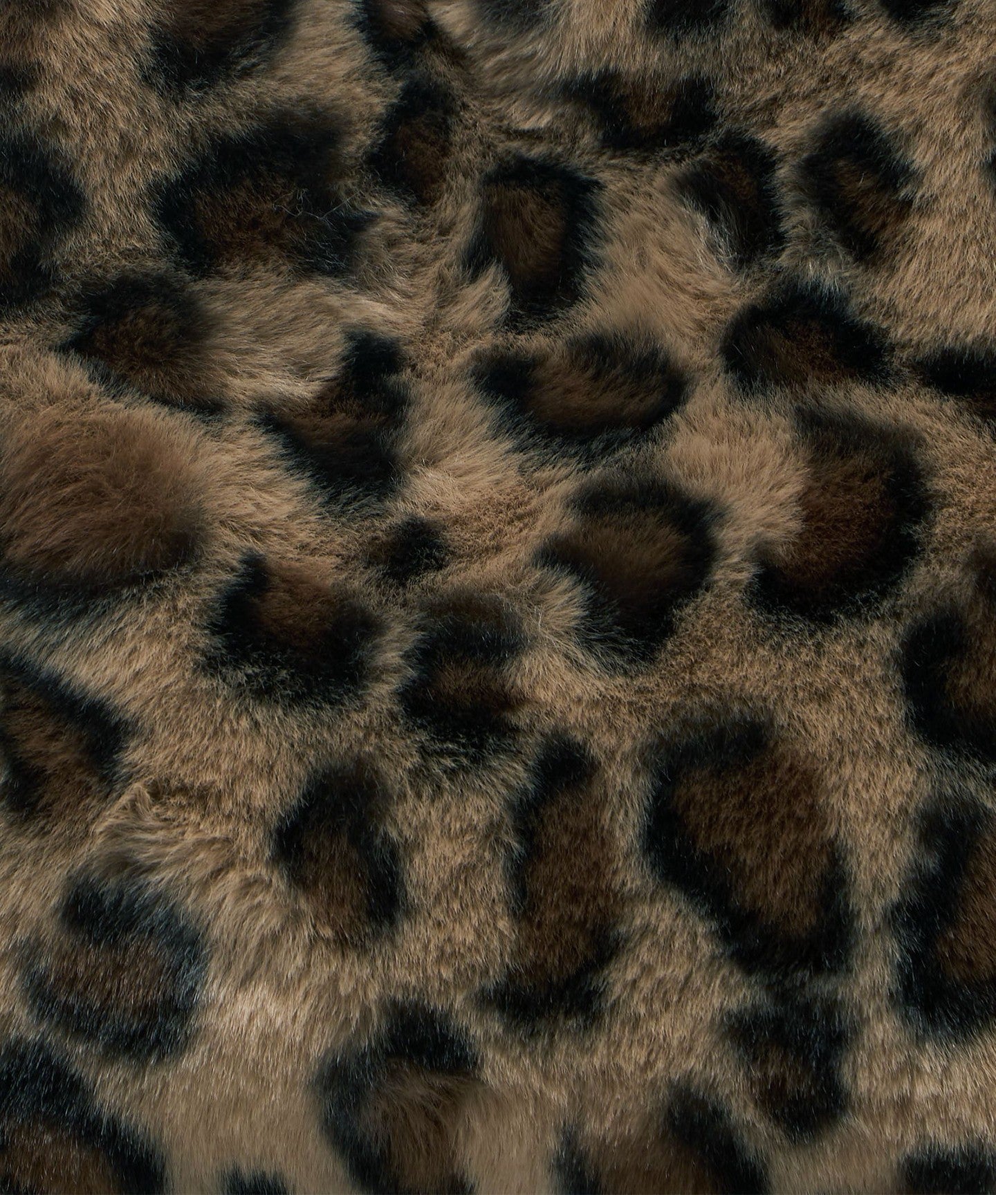 36325000011-d16.jpg