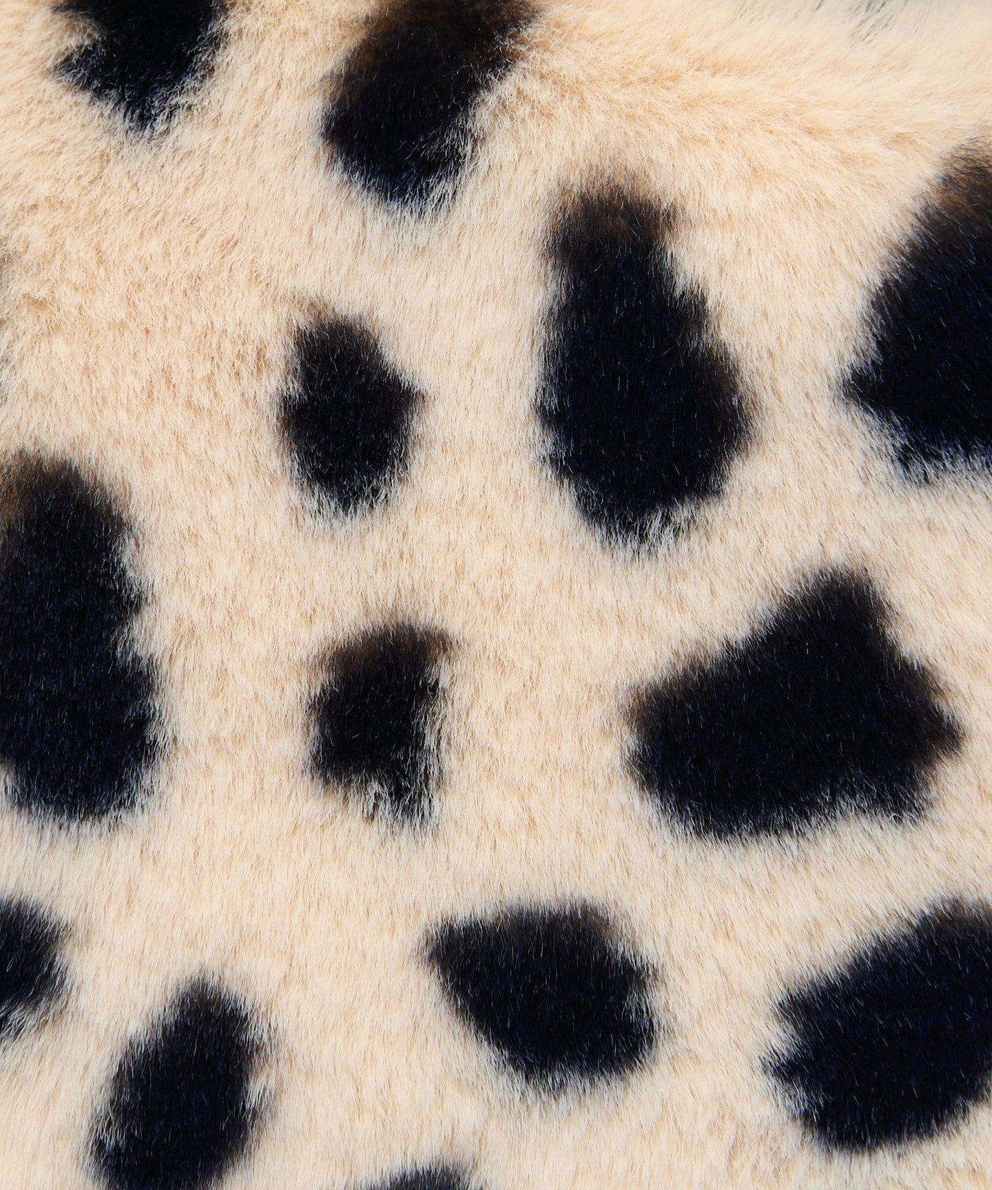 36326000007-d40.jpg