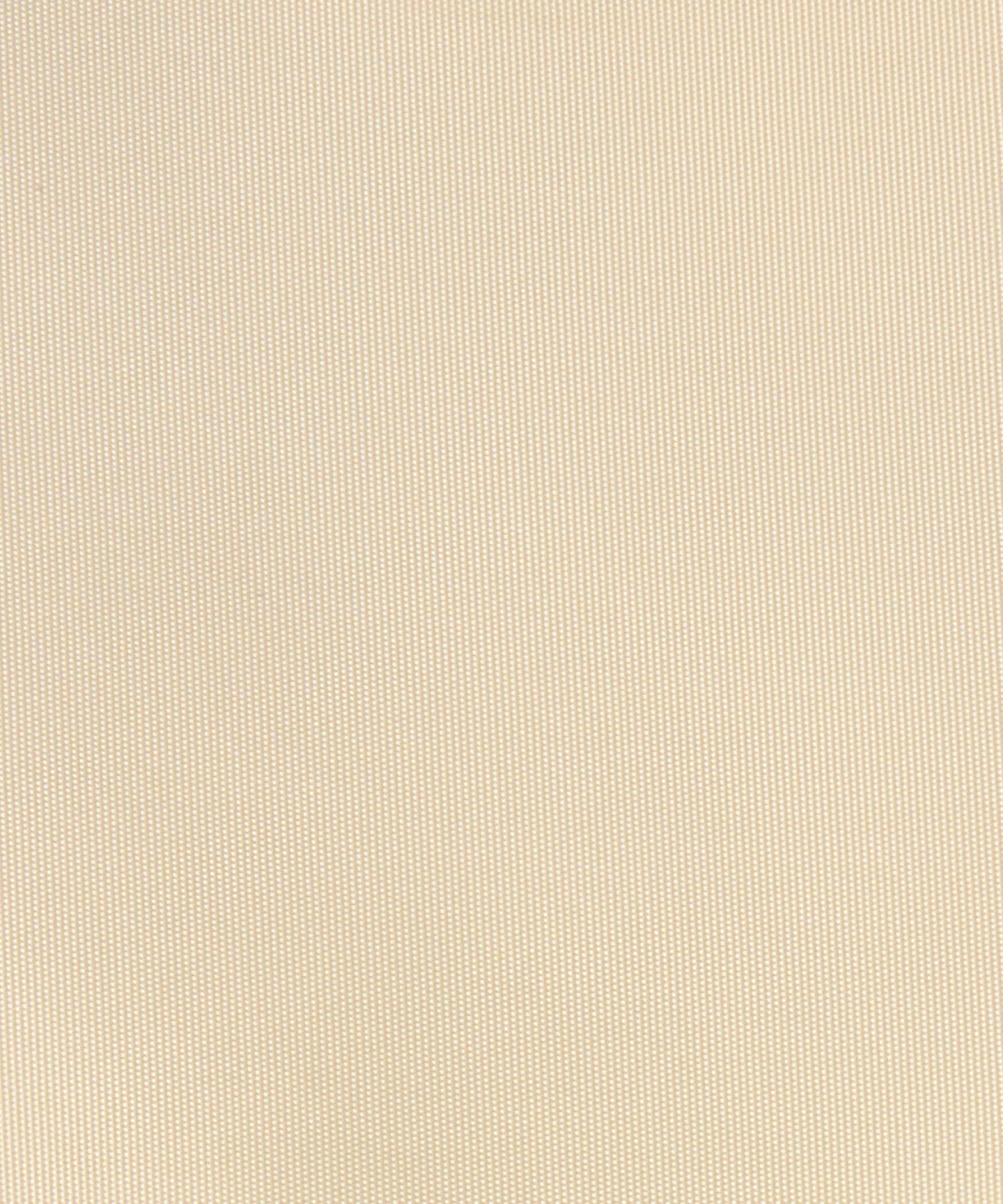 36326992101-d40.jpg