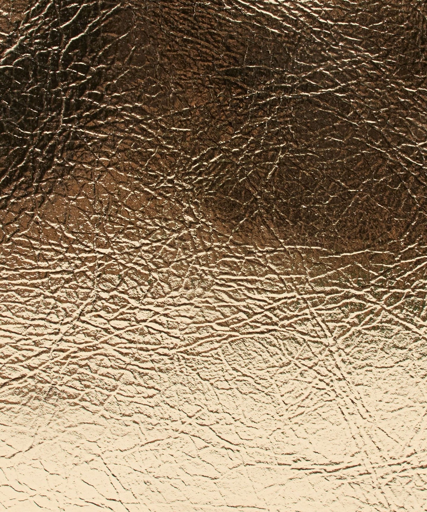 36336000024-d28.jpg