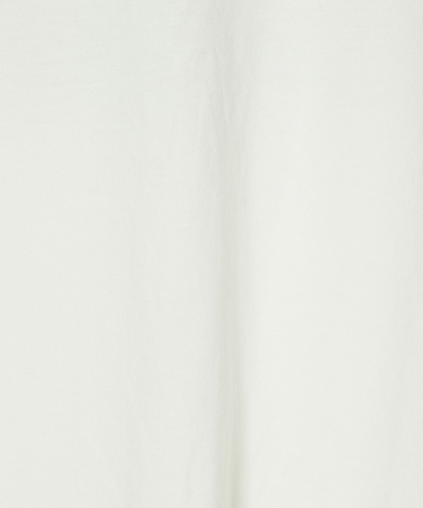42126990134-d45.jpg
