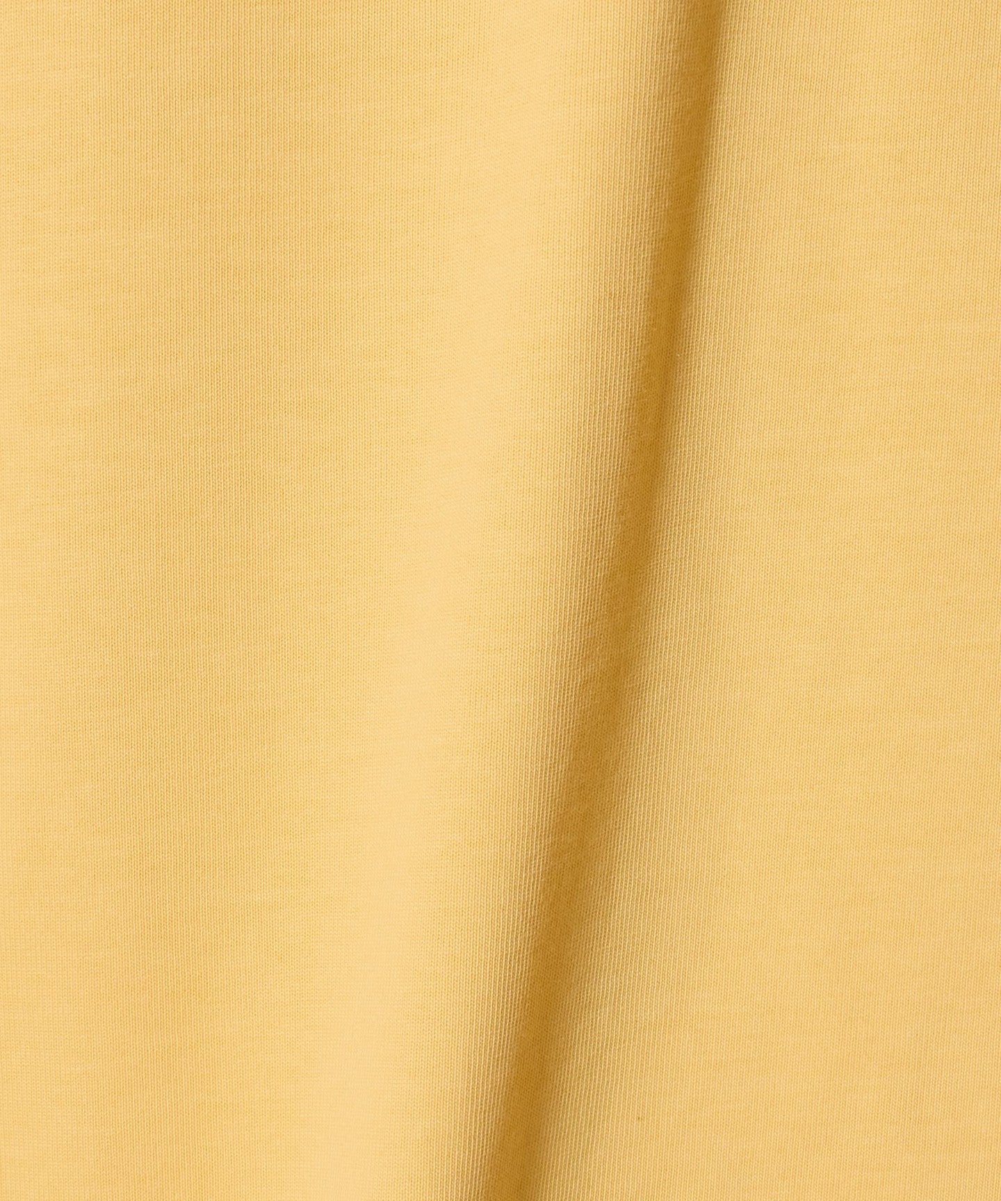42176000027-d20.jpg