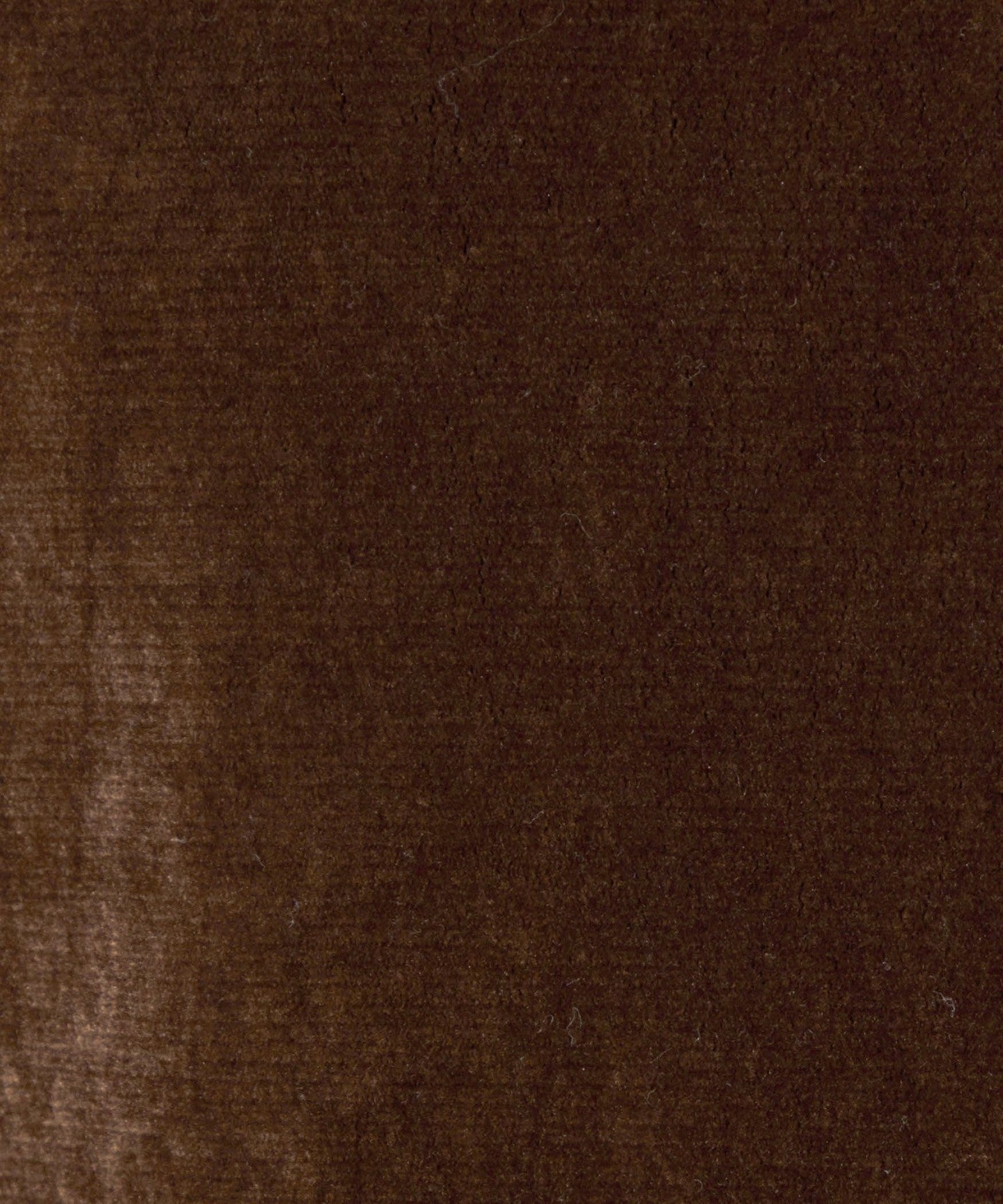 42176990077-d18.jpg