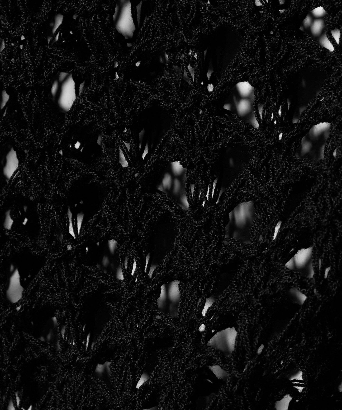 42286000005-d26.jpg