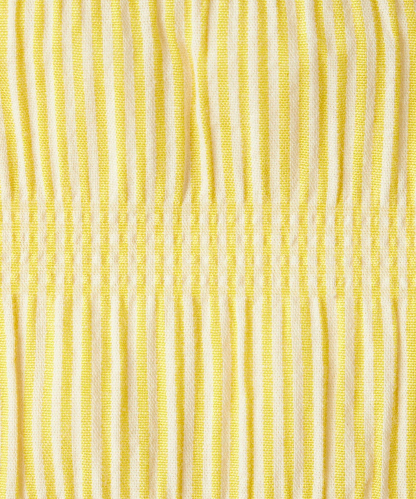 42326990229-d34.jpg