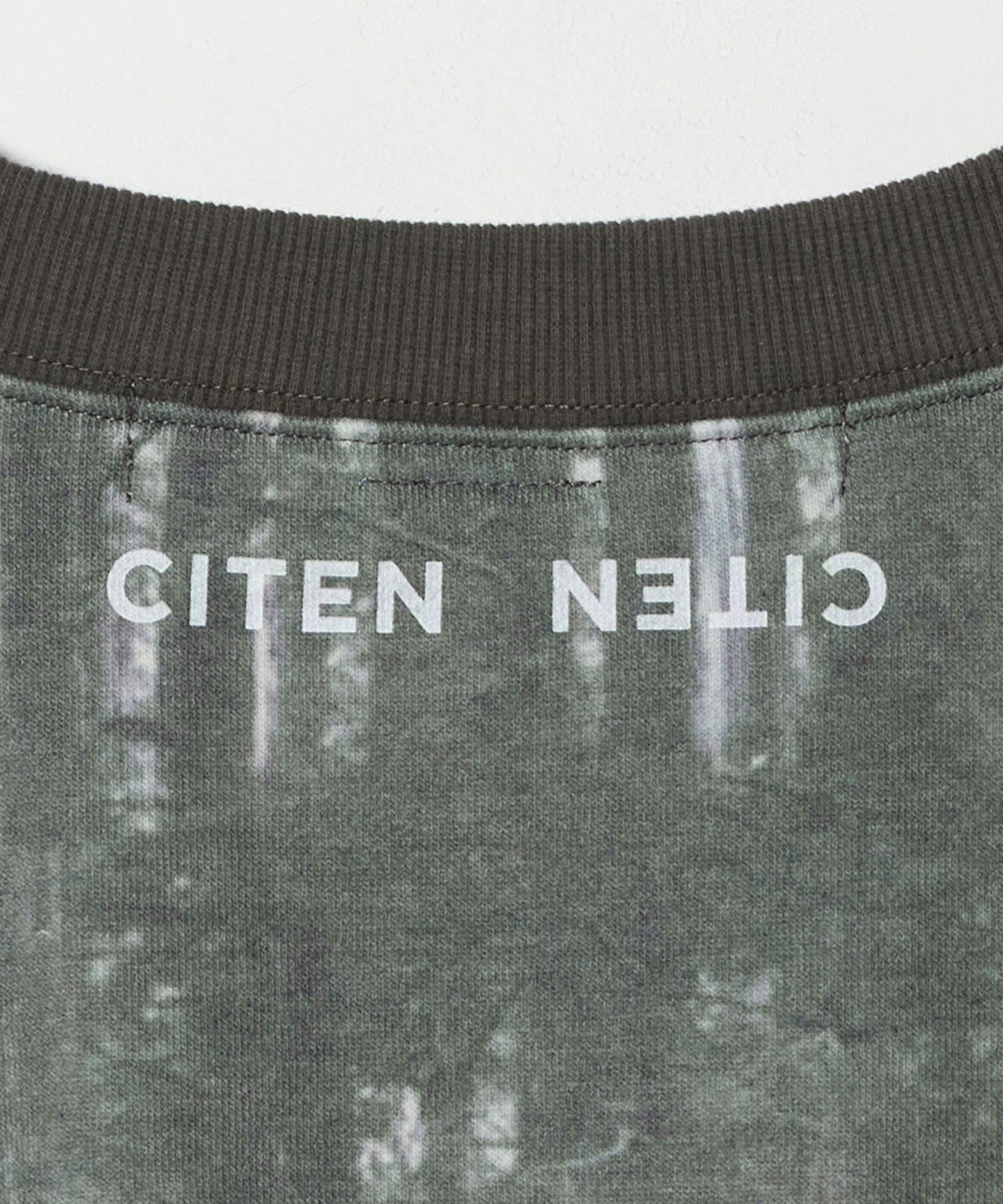 42521000005-d14.jpg