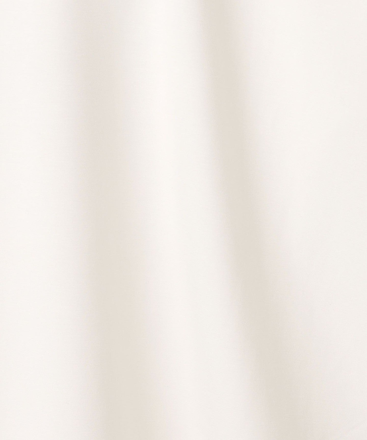 42521400068-d19.jpg