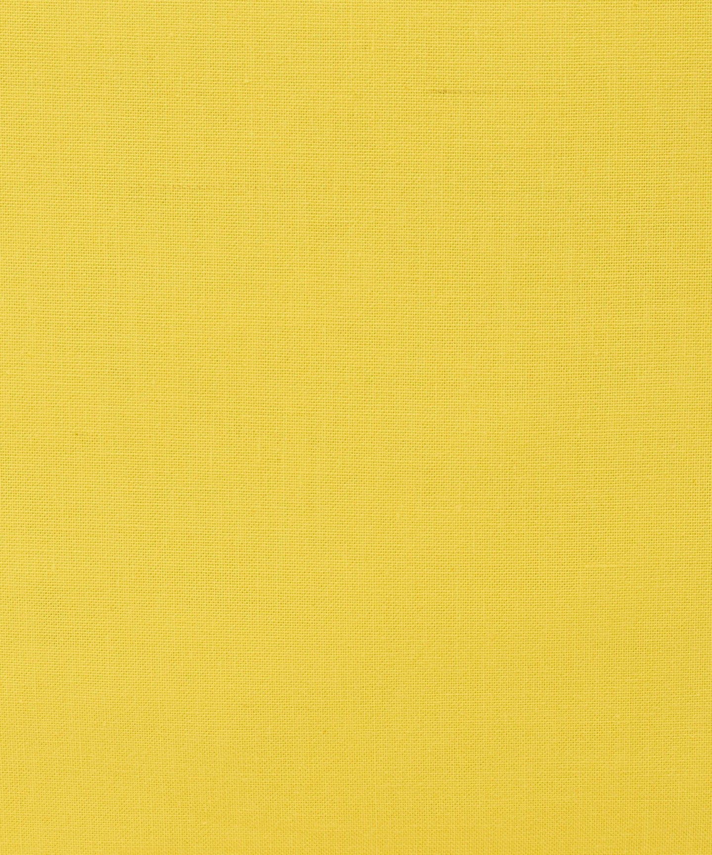 54324990652-d20.jpg