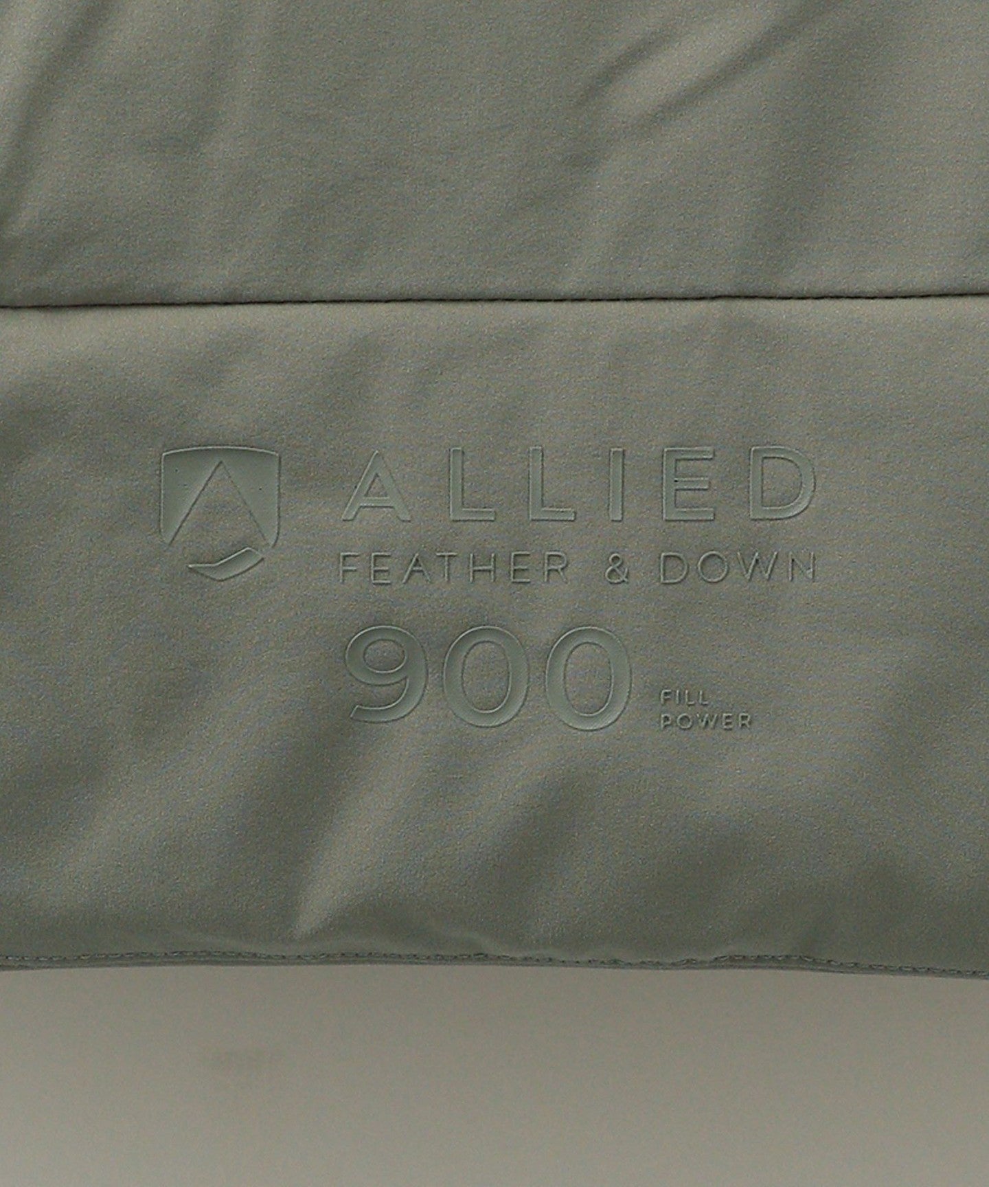 55251990855-d17.jpg