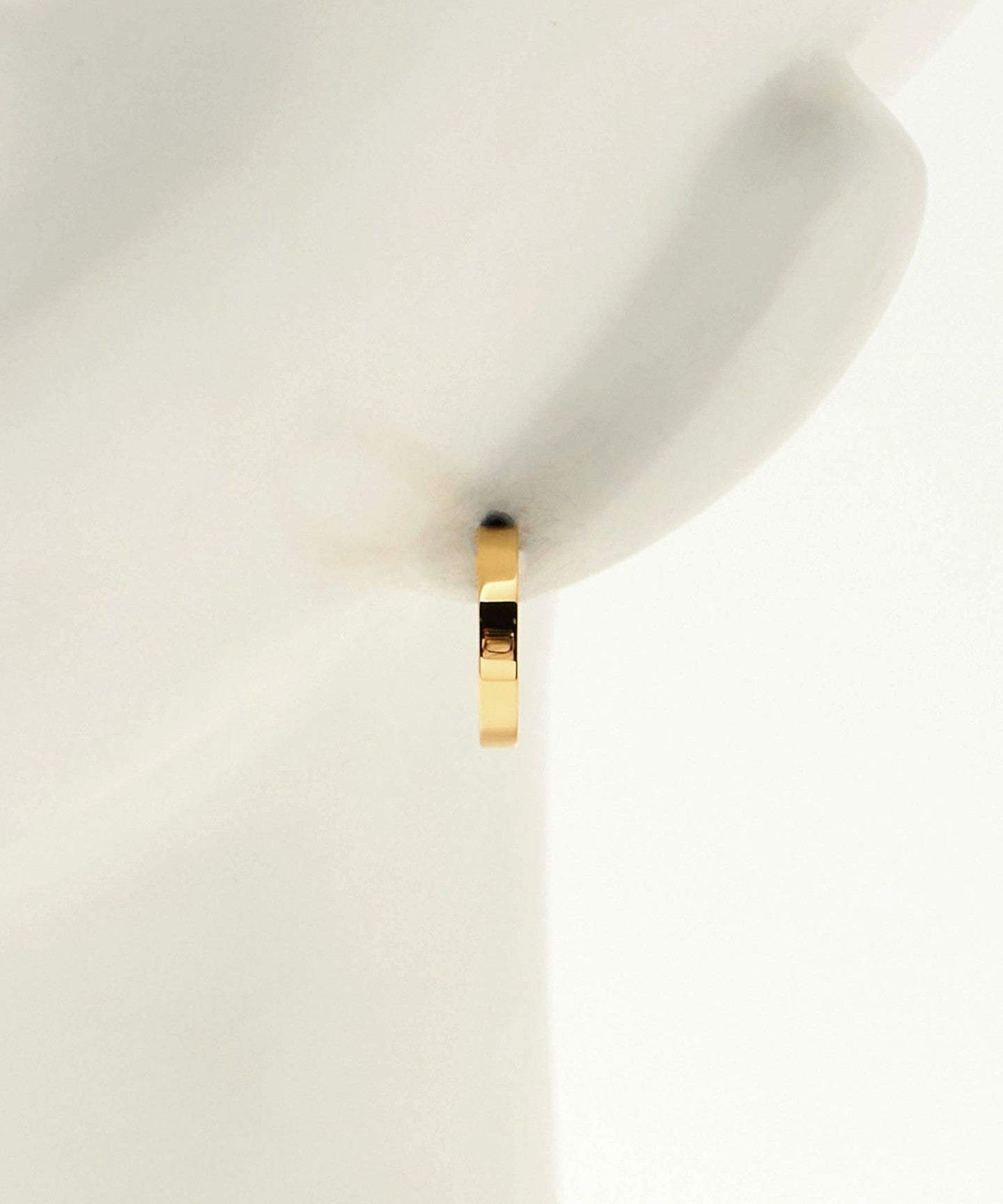 55335000004-d09.jpg
