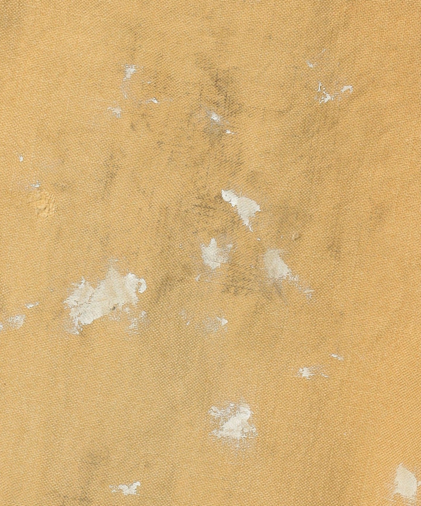55695991779-d11.jpg