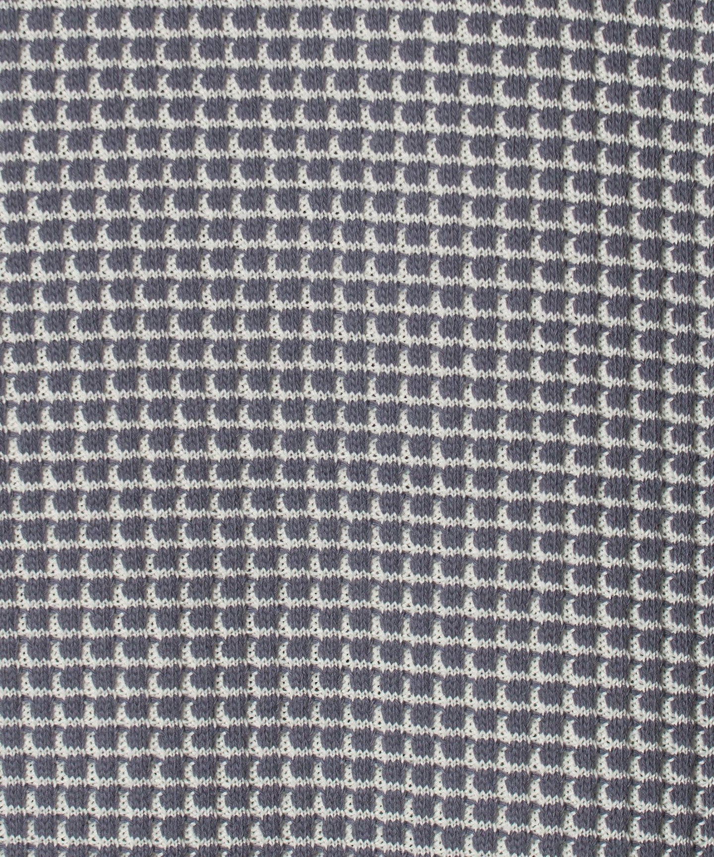 64126000008-d14.jpg