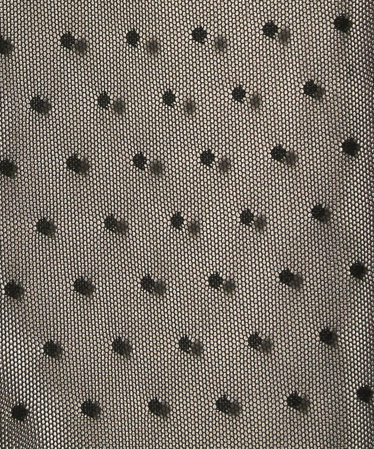 66146000007-d25.jpg